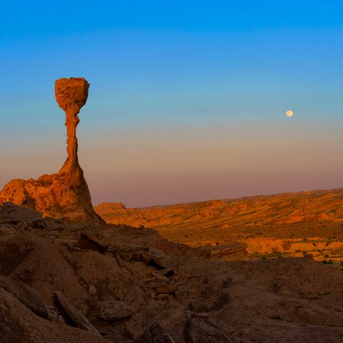 Earth Stands with Crypto #3643