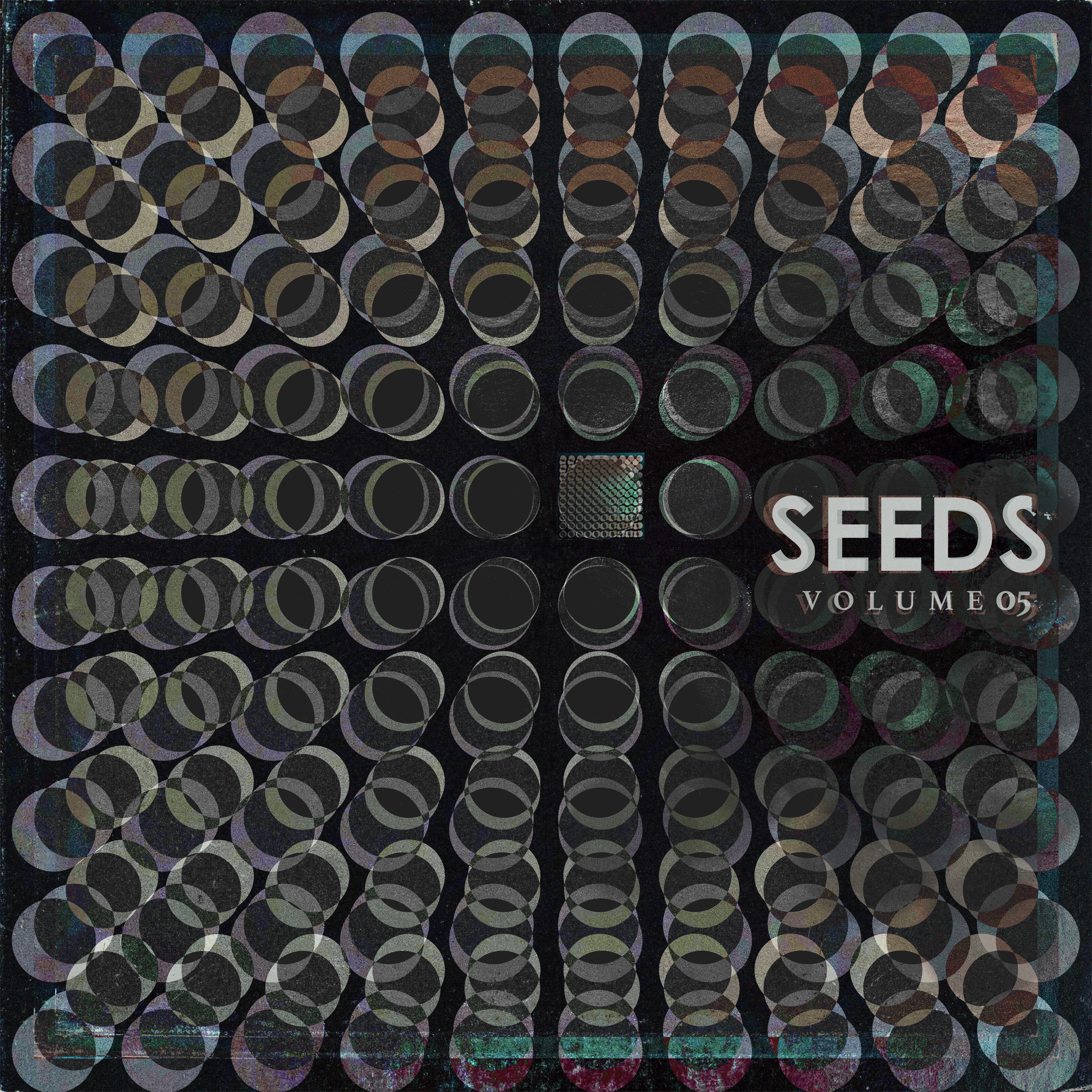 seed #38