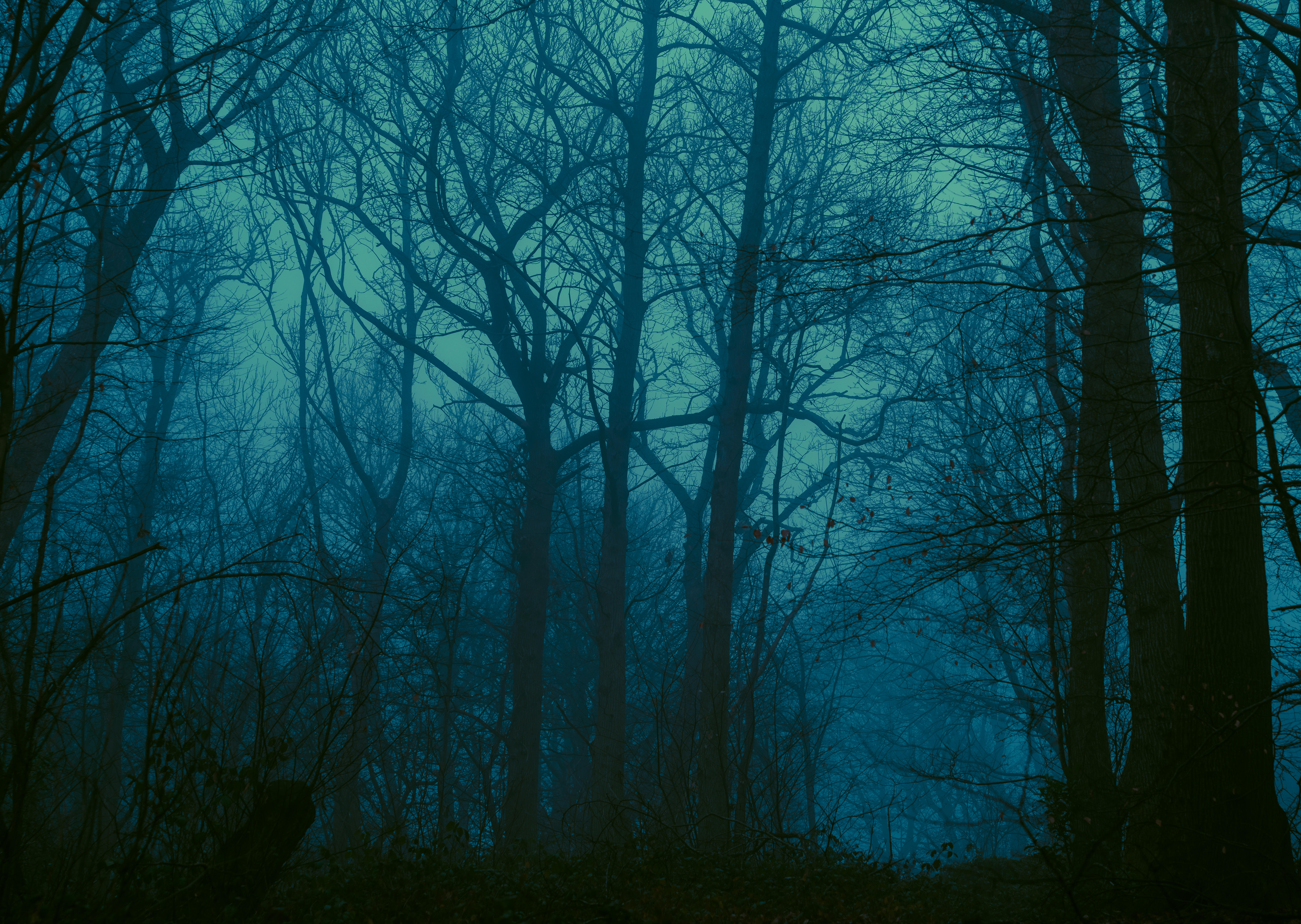 Blue vision
