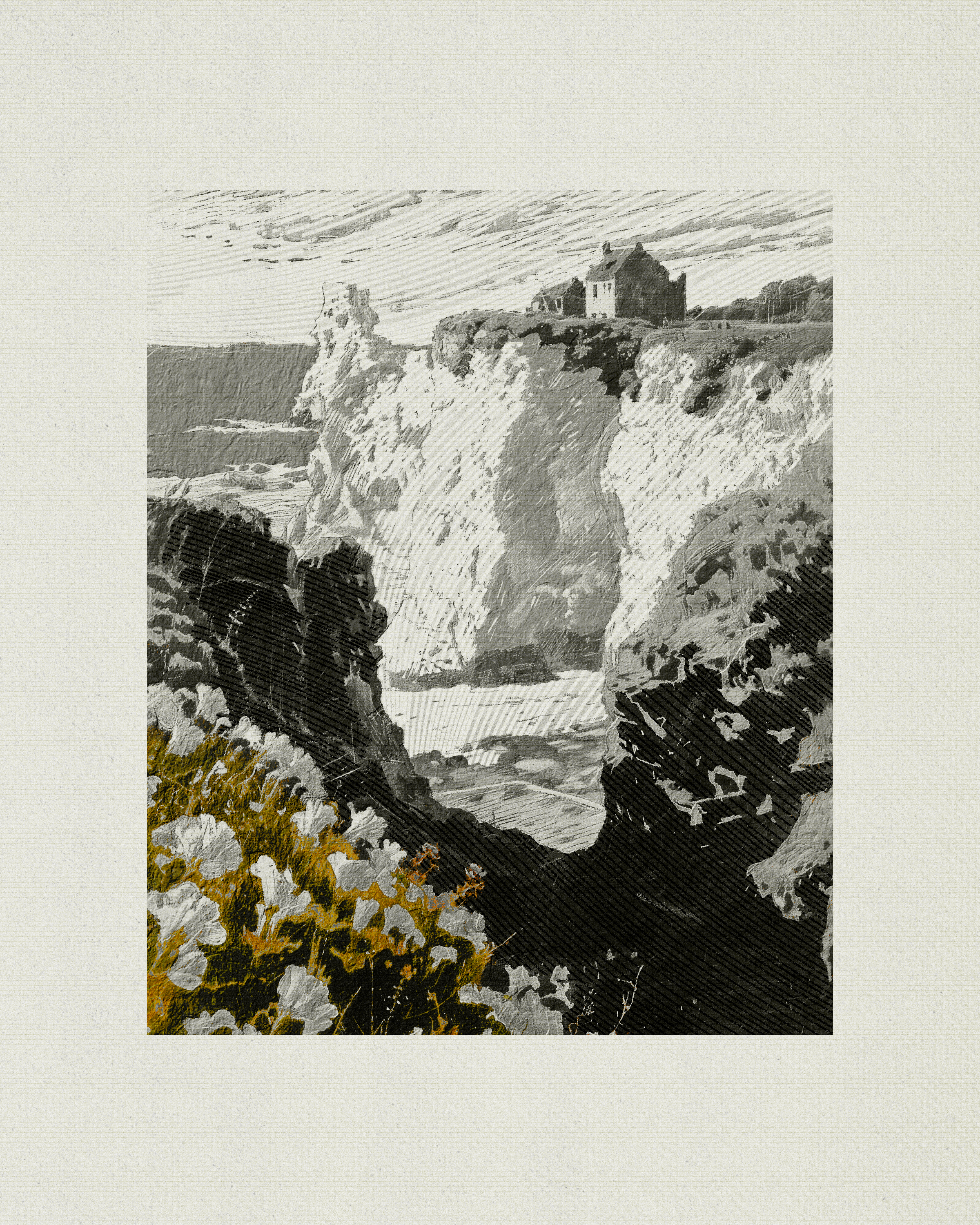 Coast #20