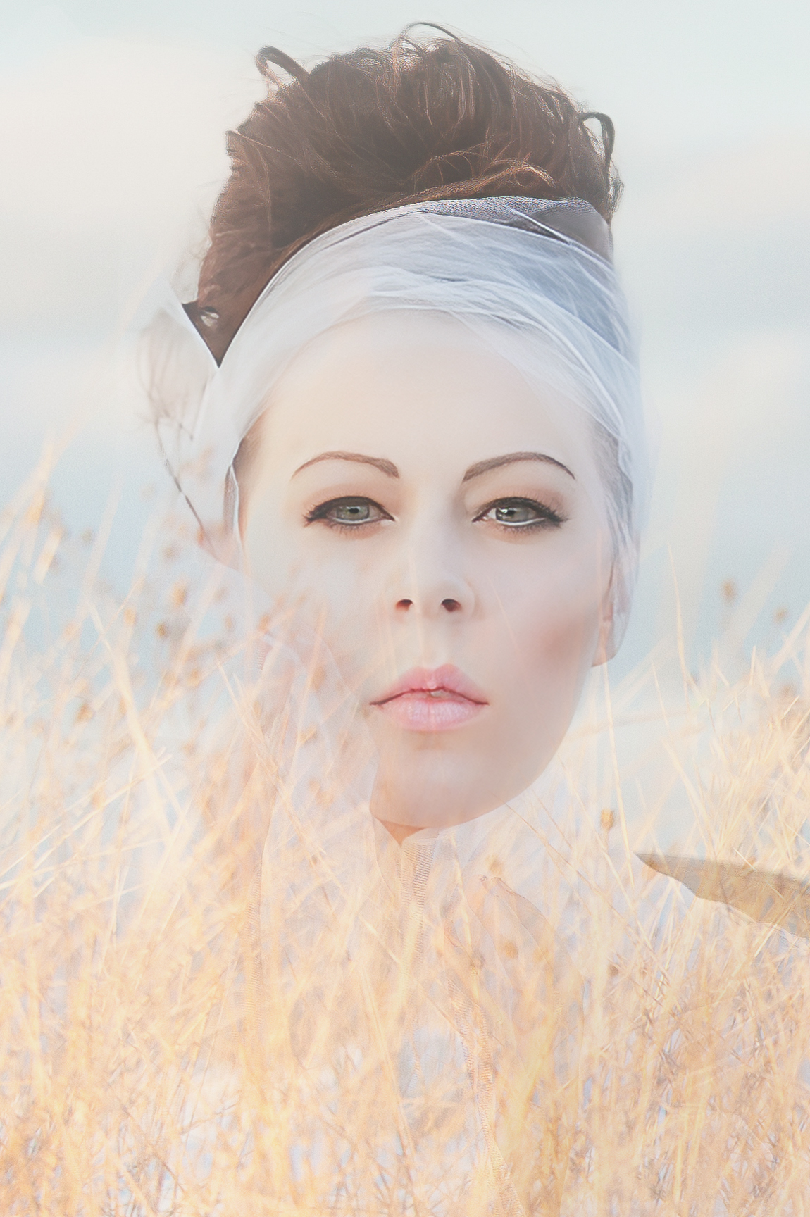 Veil of Whispered Dreams #5