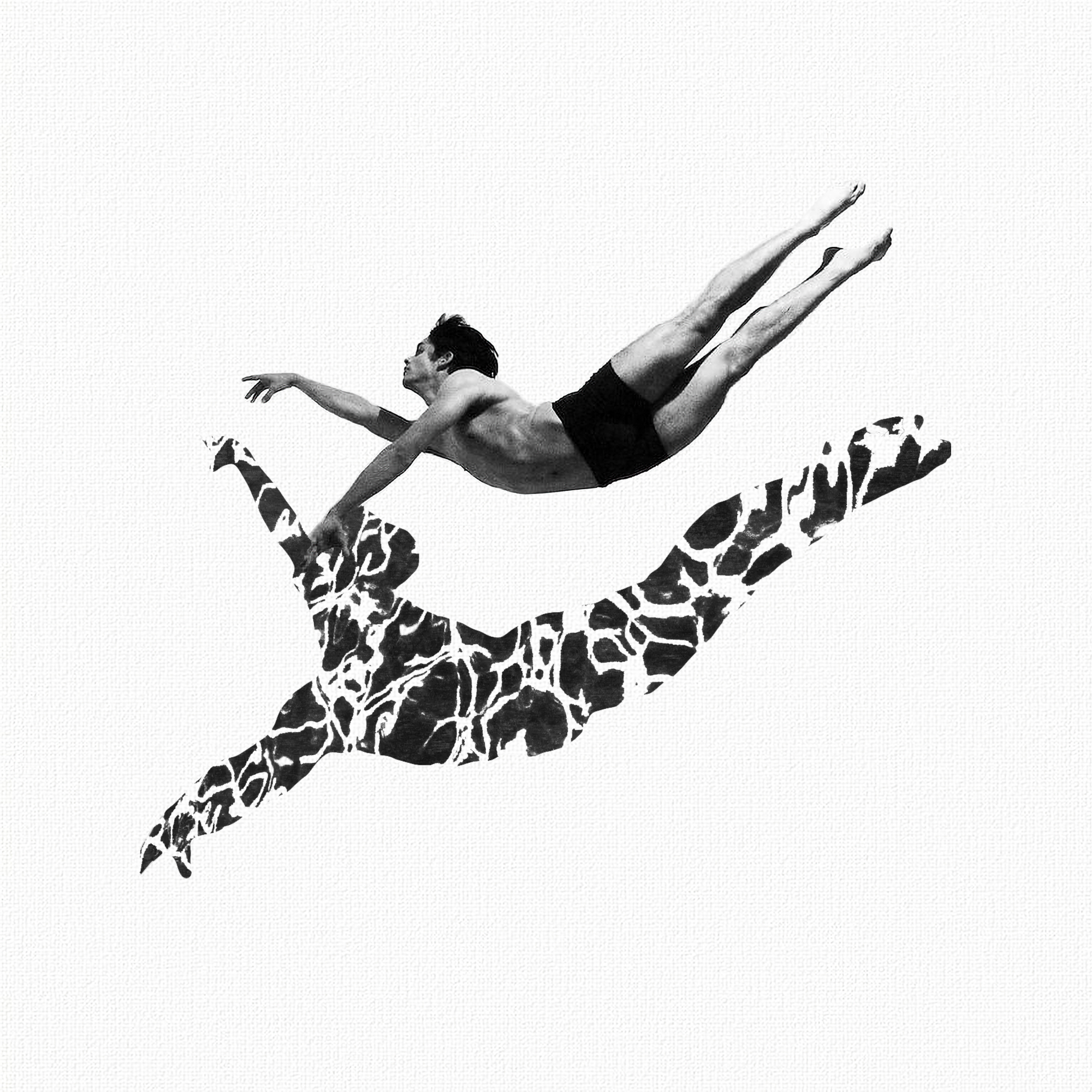 Collage N10