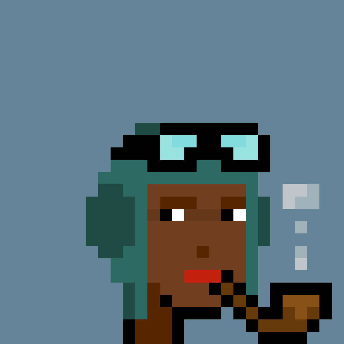 p00nks #14
