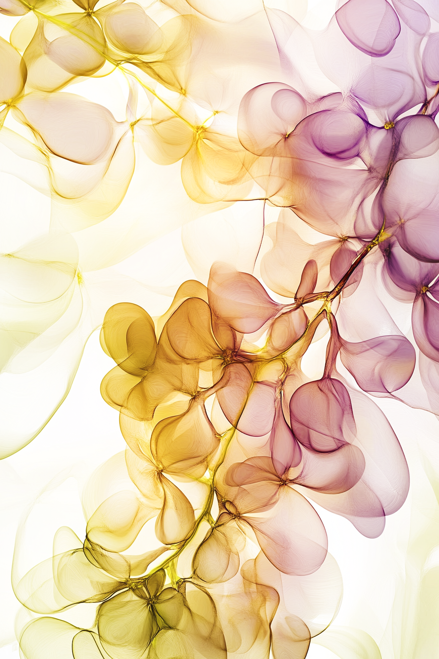 Gossamer Gardens #4