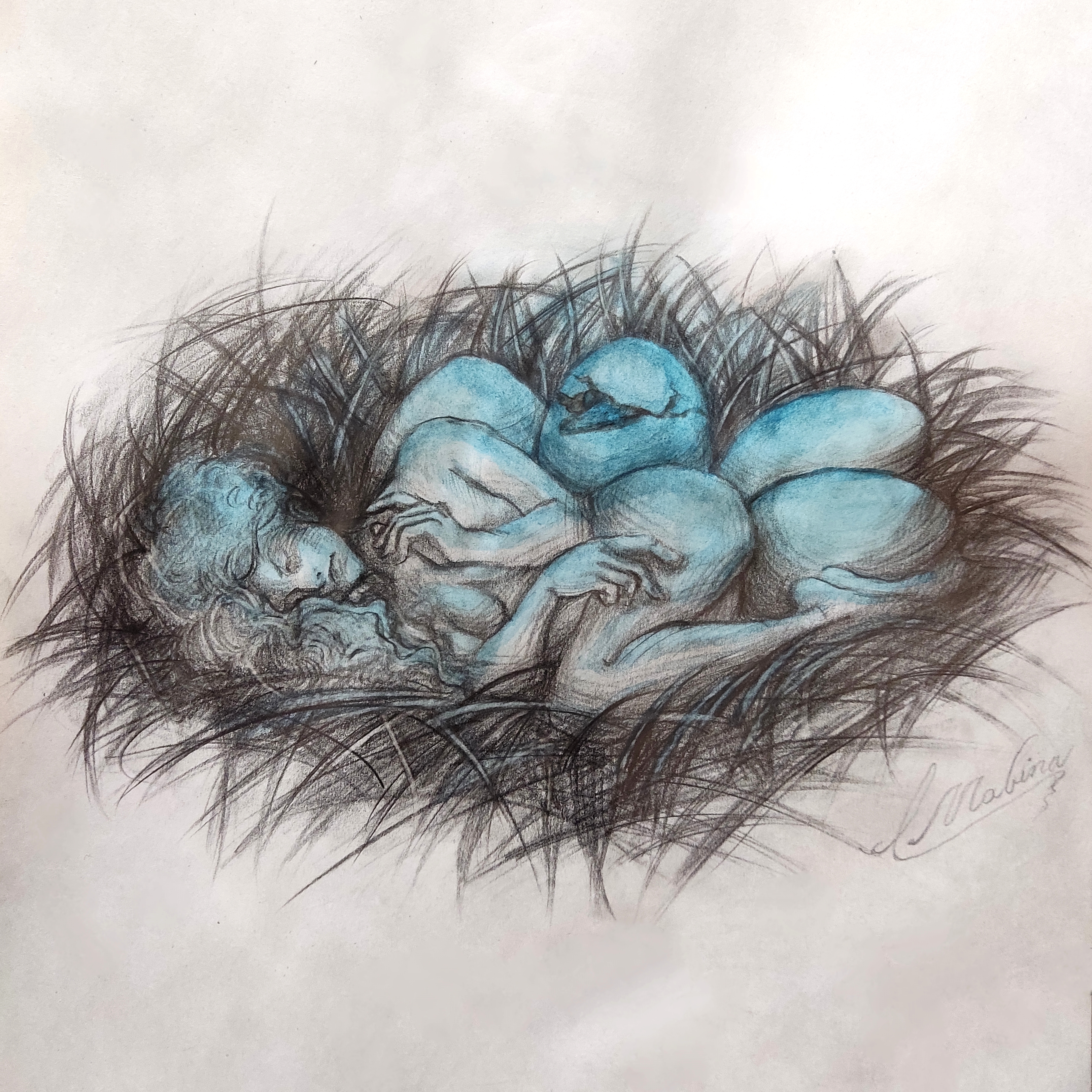Nest
