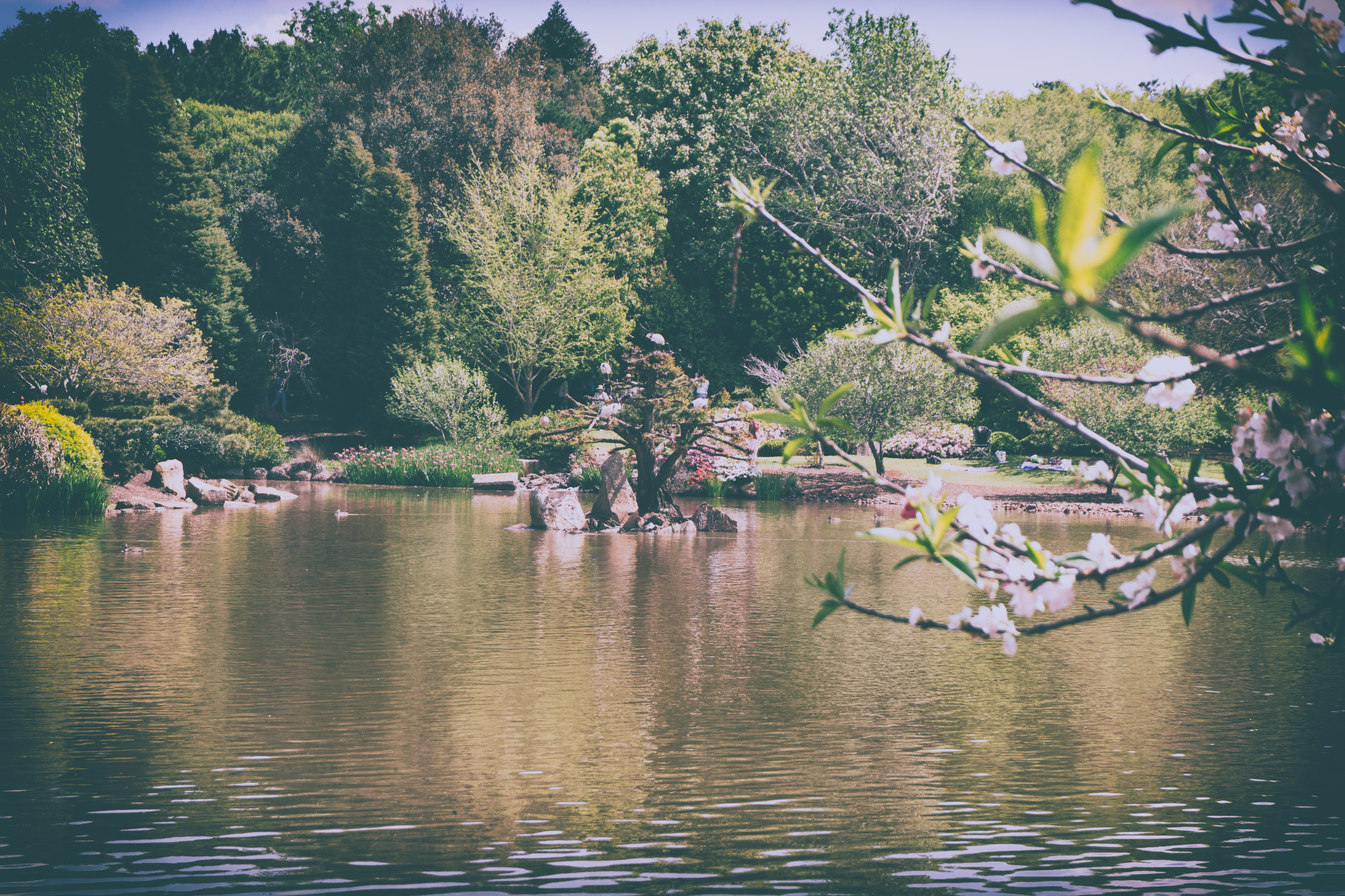 Japanese garden 2