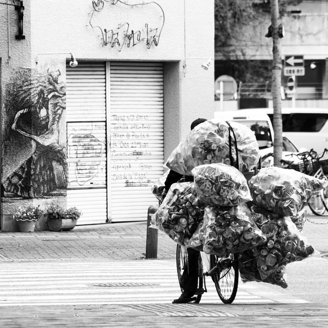 the collector
