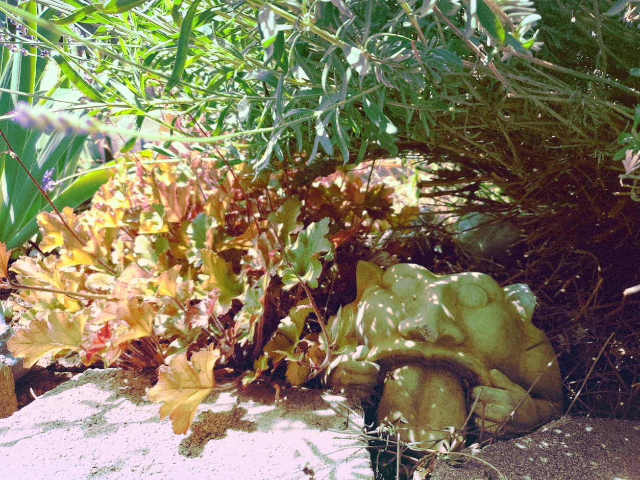 garden troll