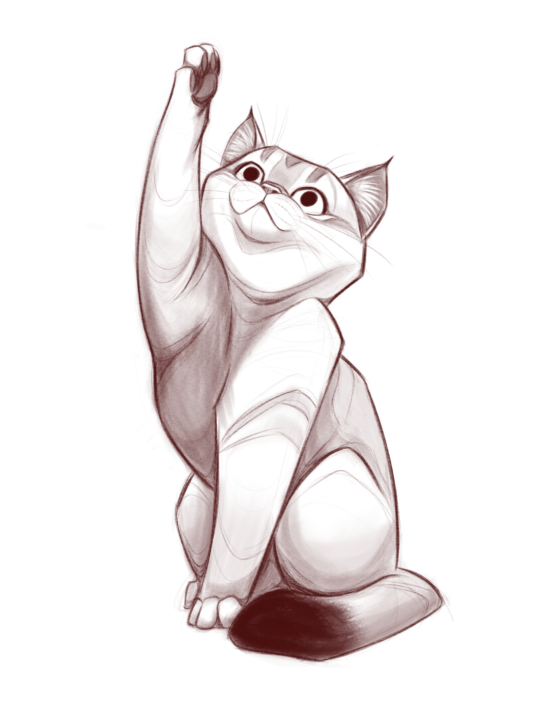 Kitteh