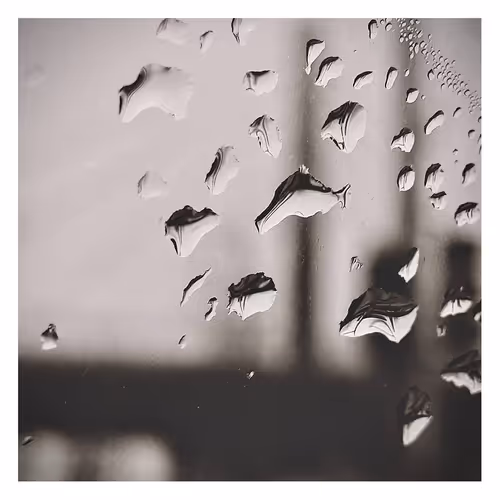 Raindrop Serenade