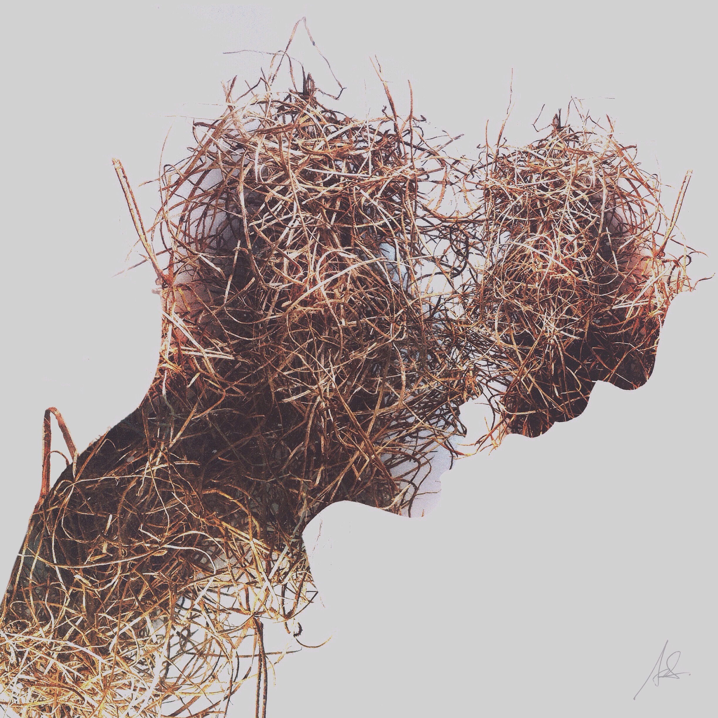 Scarecrow | O