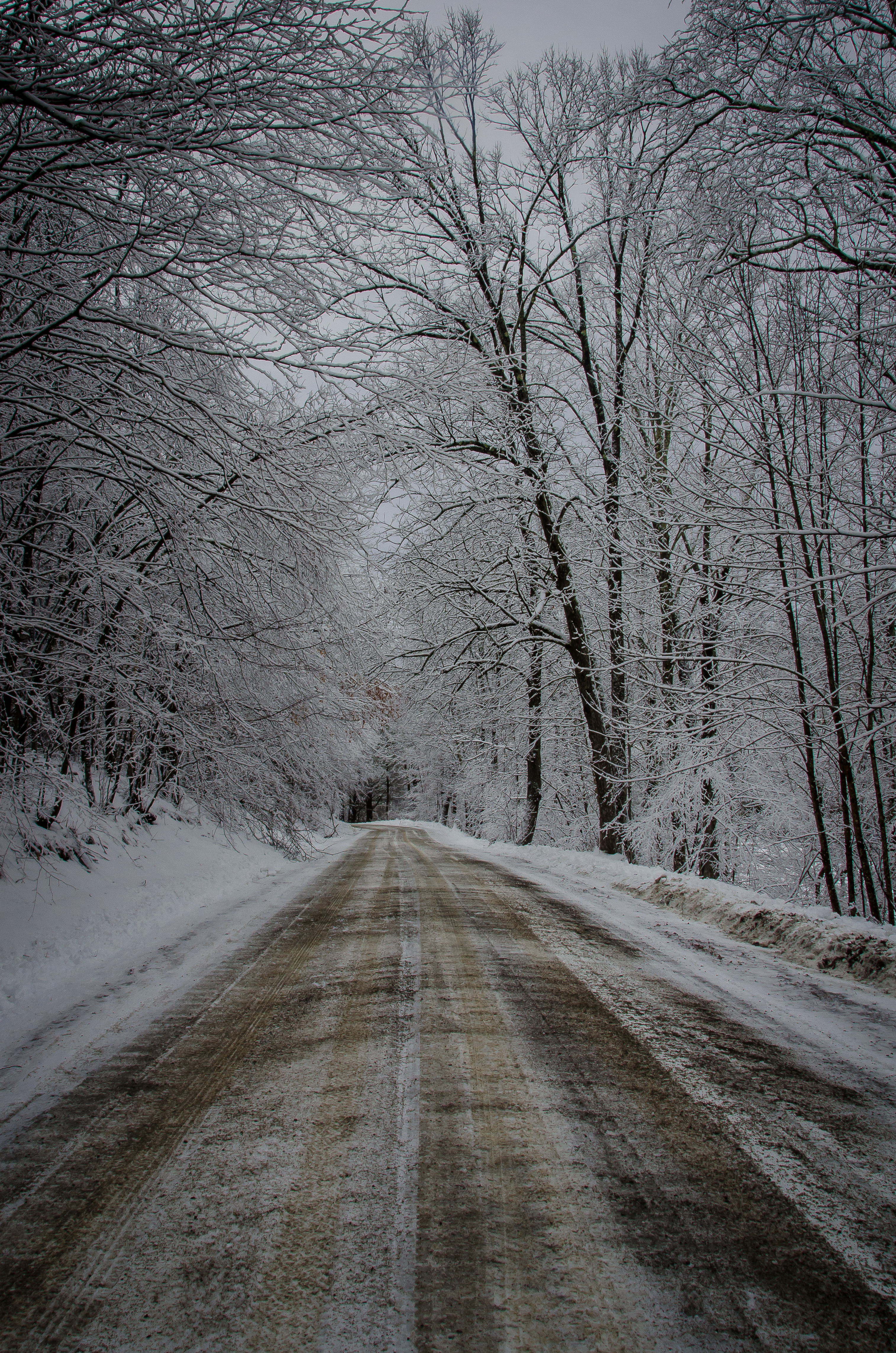 The Path Forward