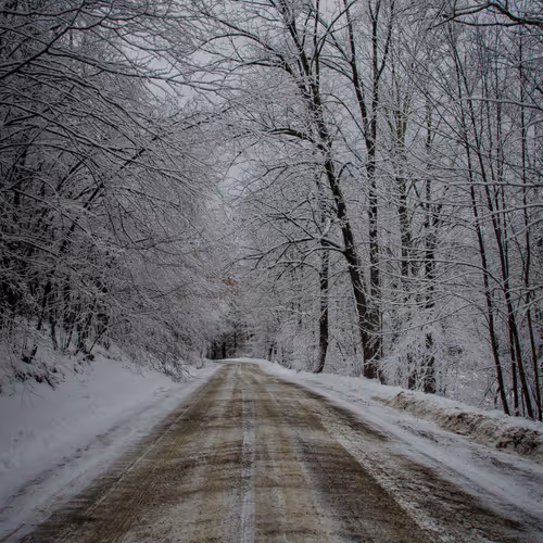 The Path Forward