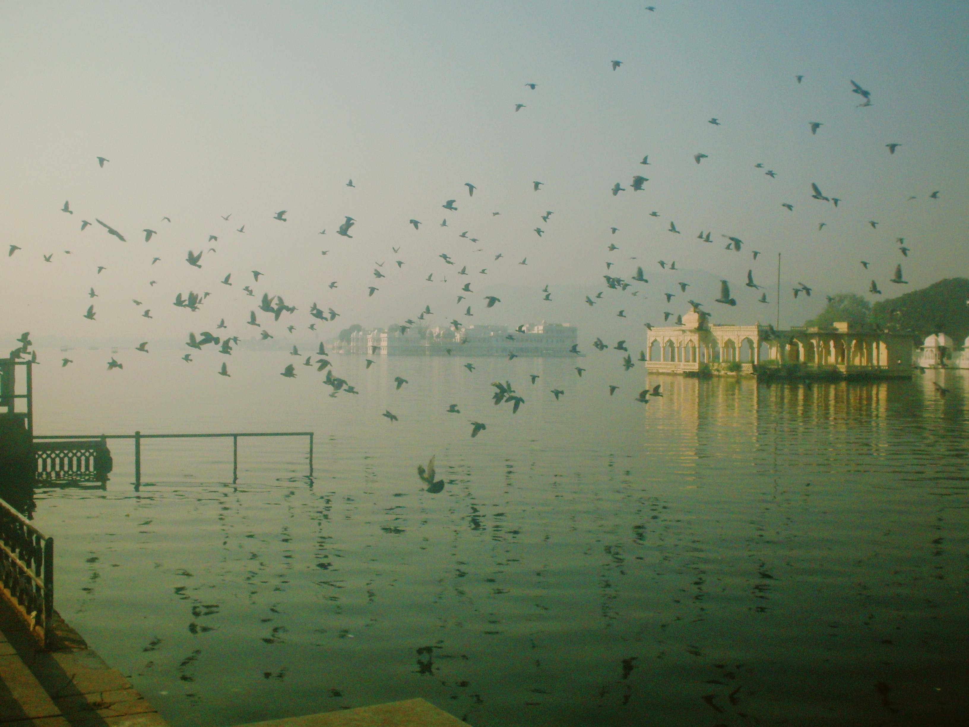 a winter morning