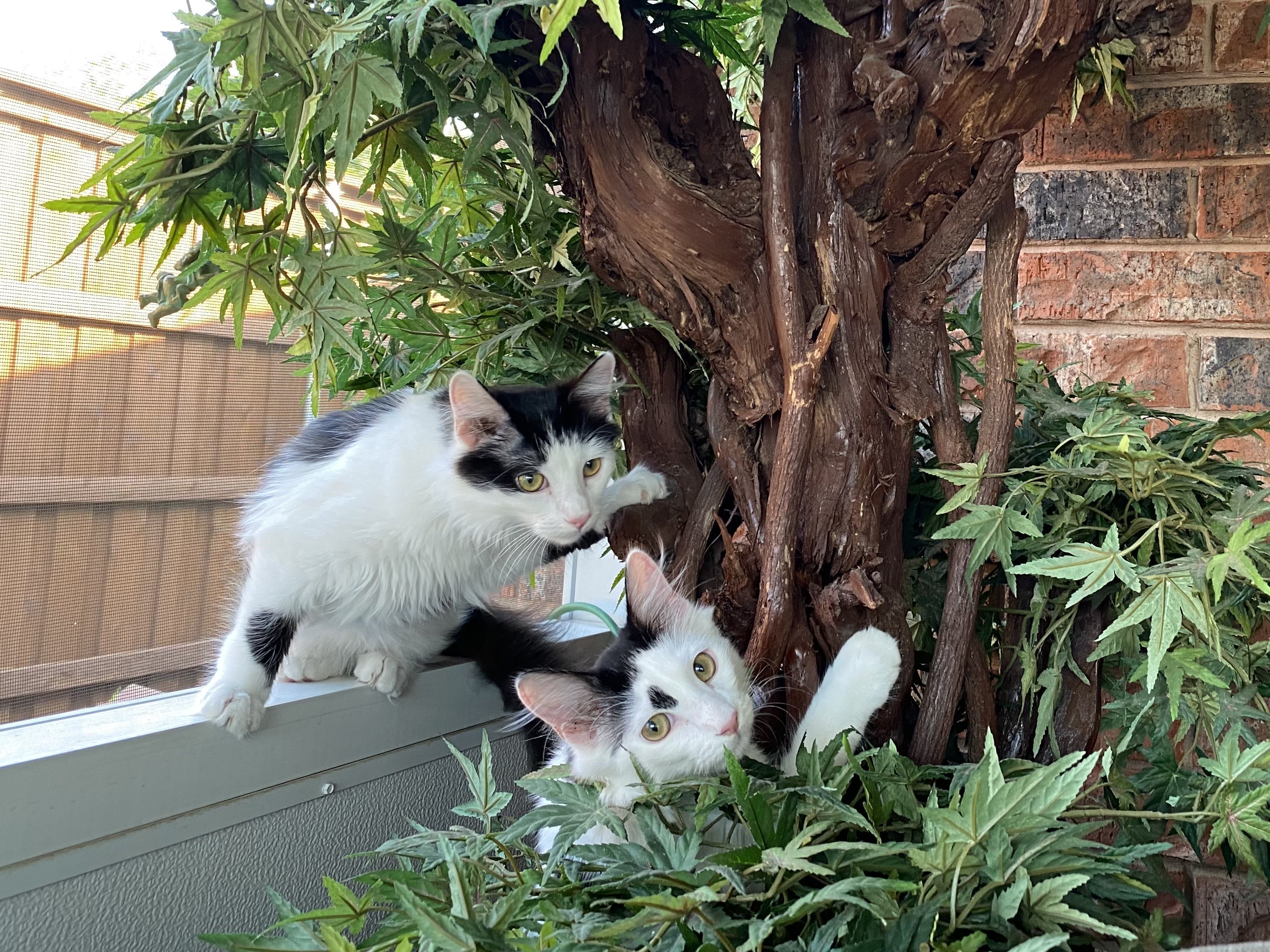 Troublemakers