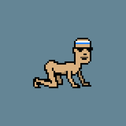 CrawlingPunk #9042