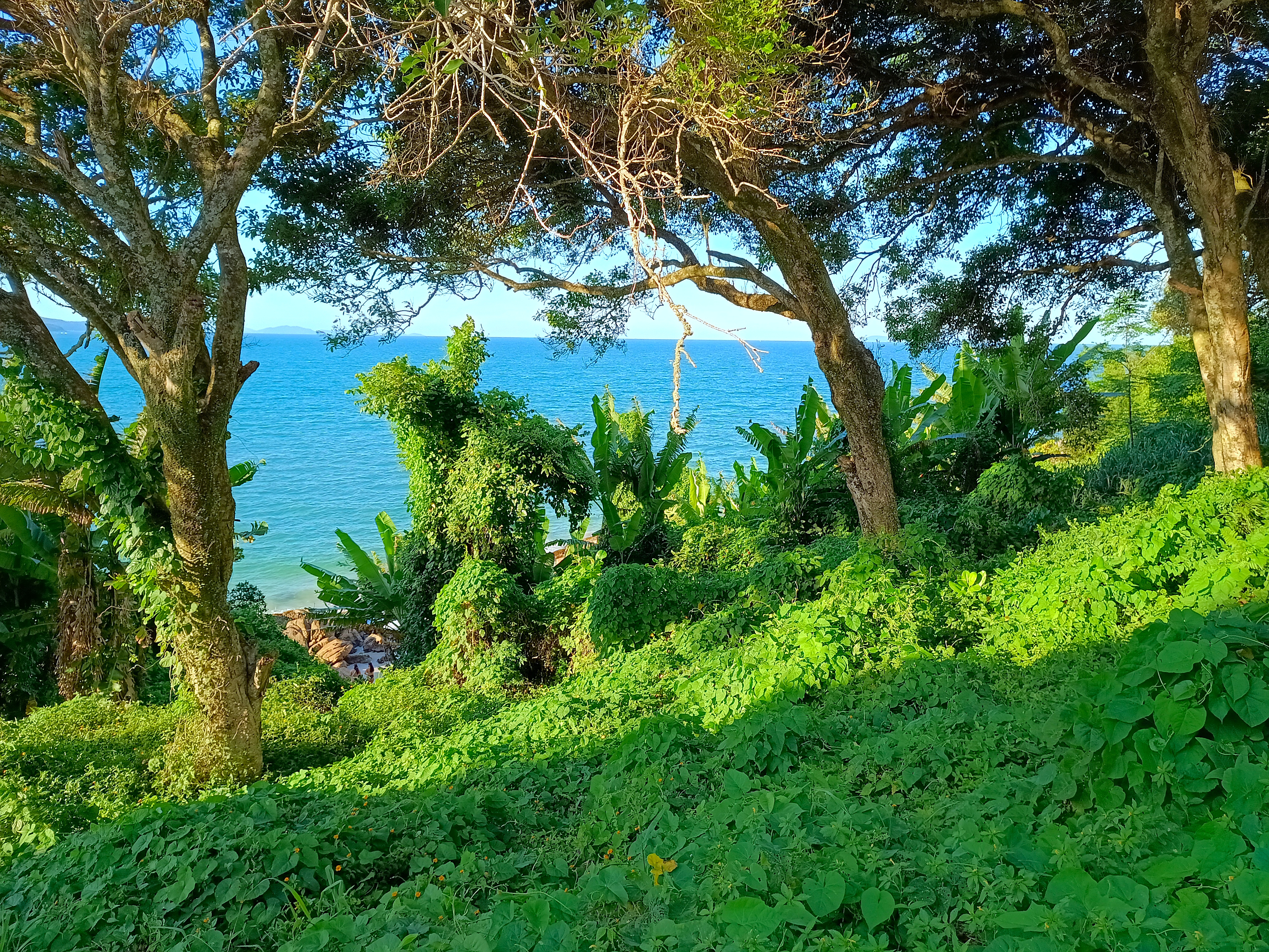 Greens and blues