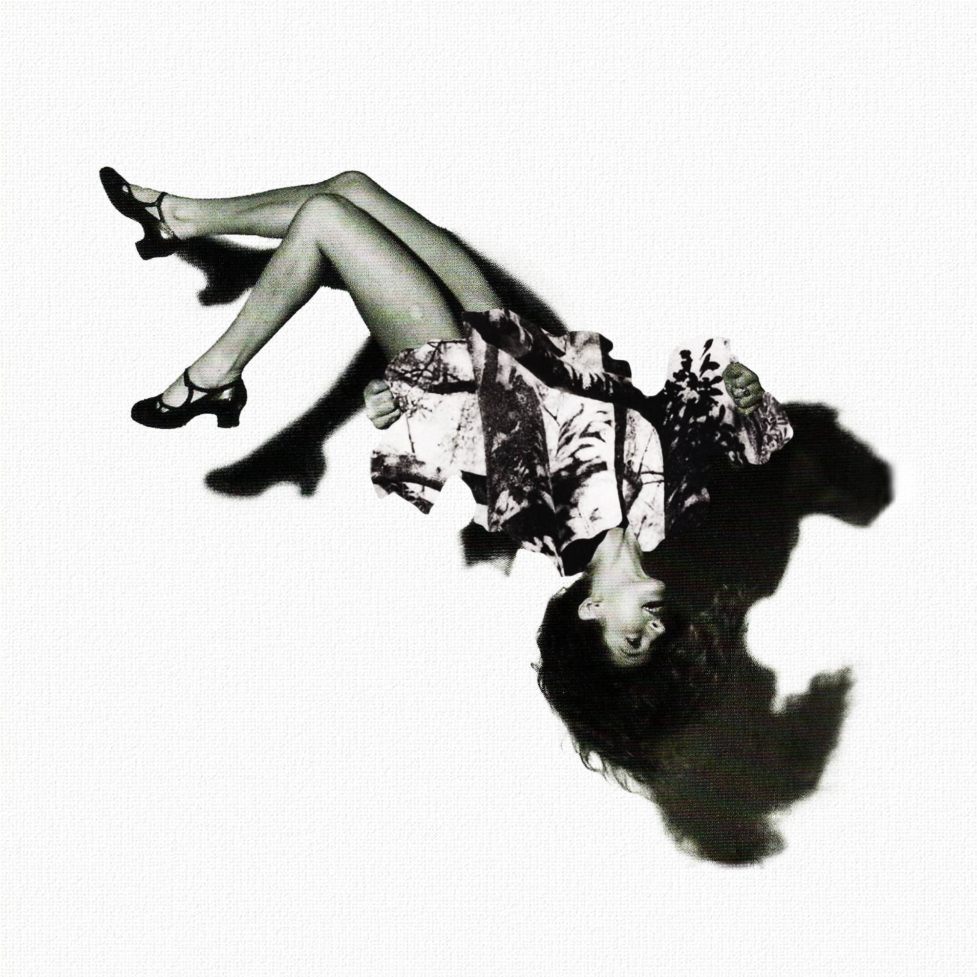 Collage N14
