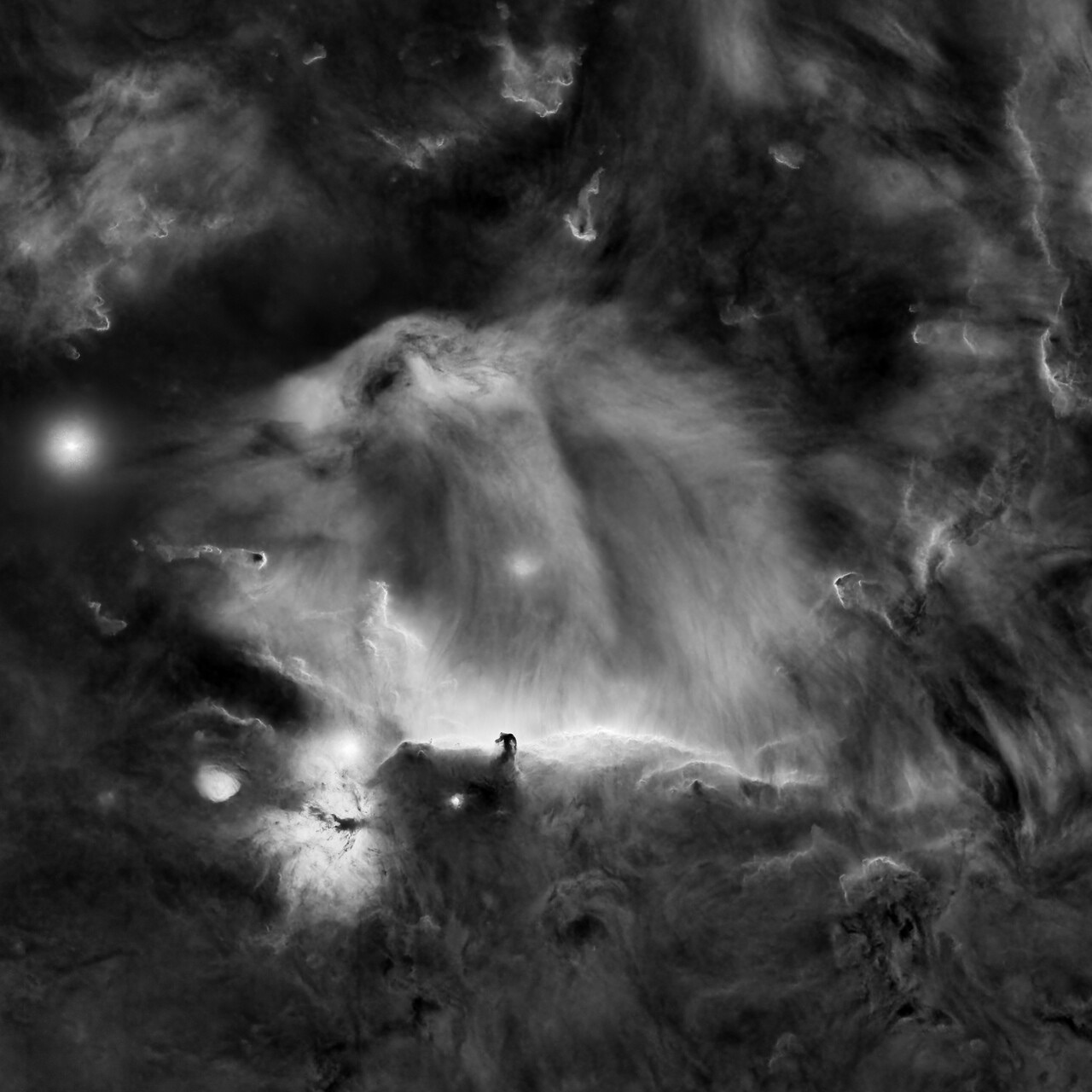 The Lion in Orion