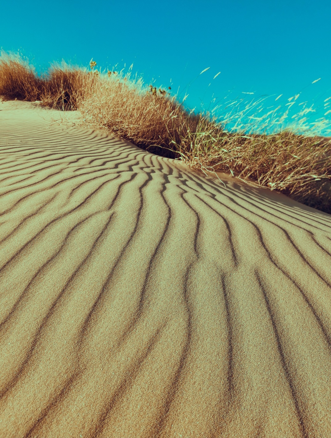 DUNE II