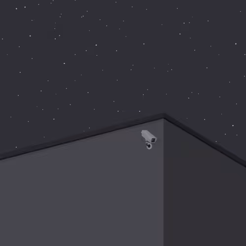 Midnight Surveillance