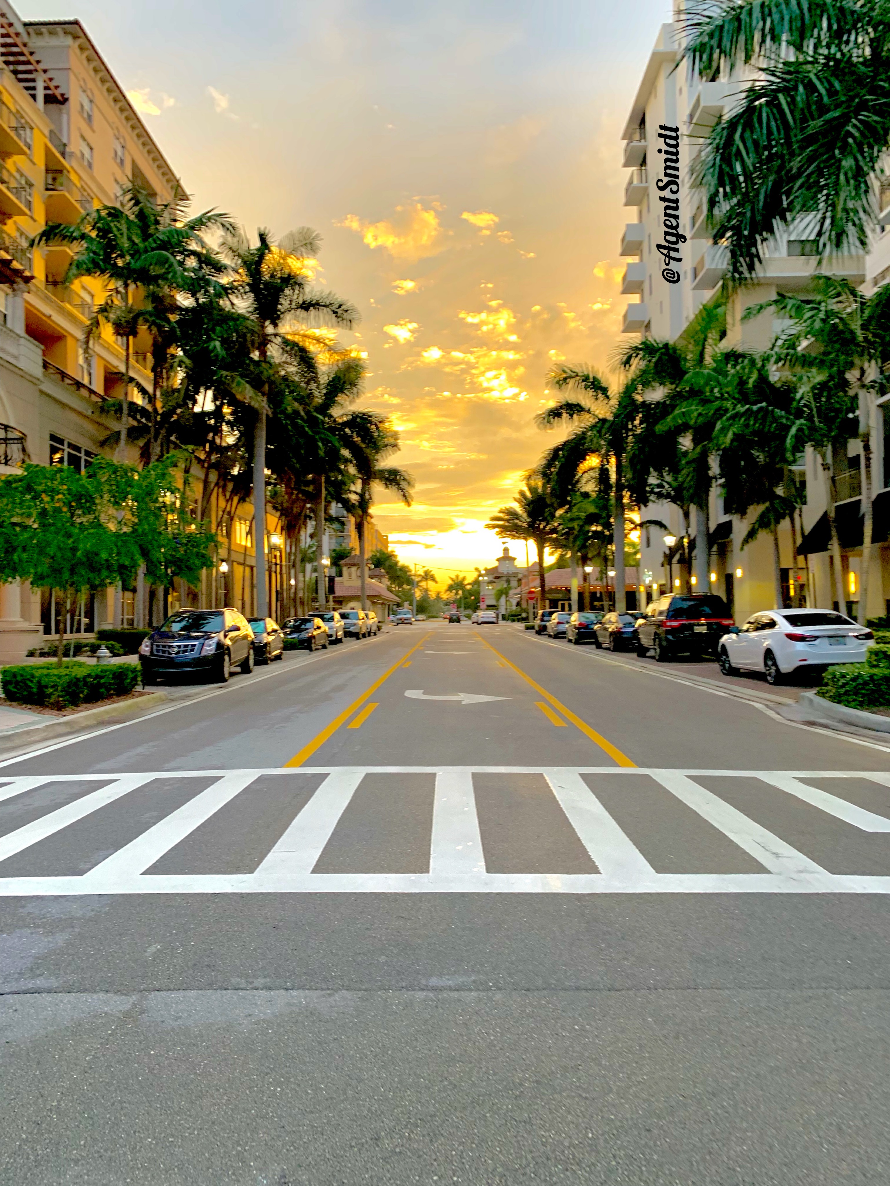 ☀️ Sunny South Florida