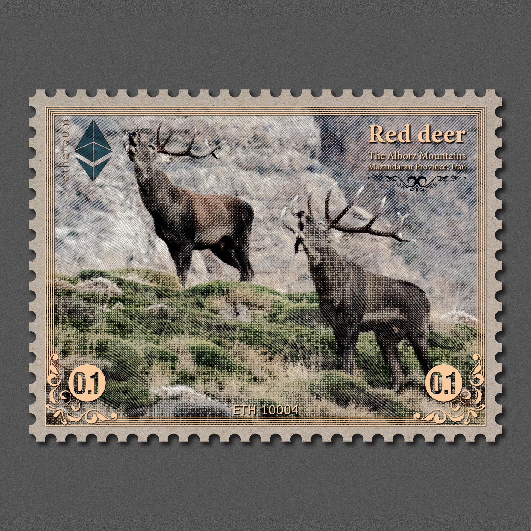 Red Deer