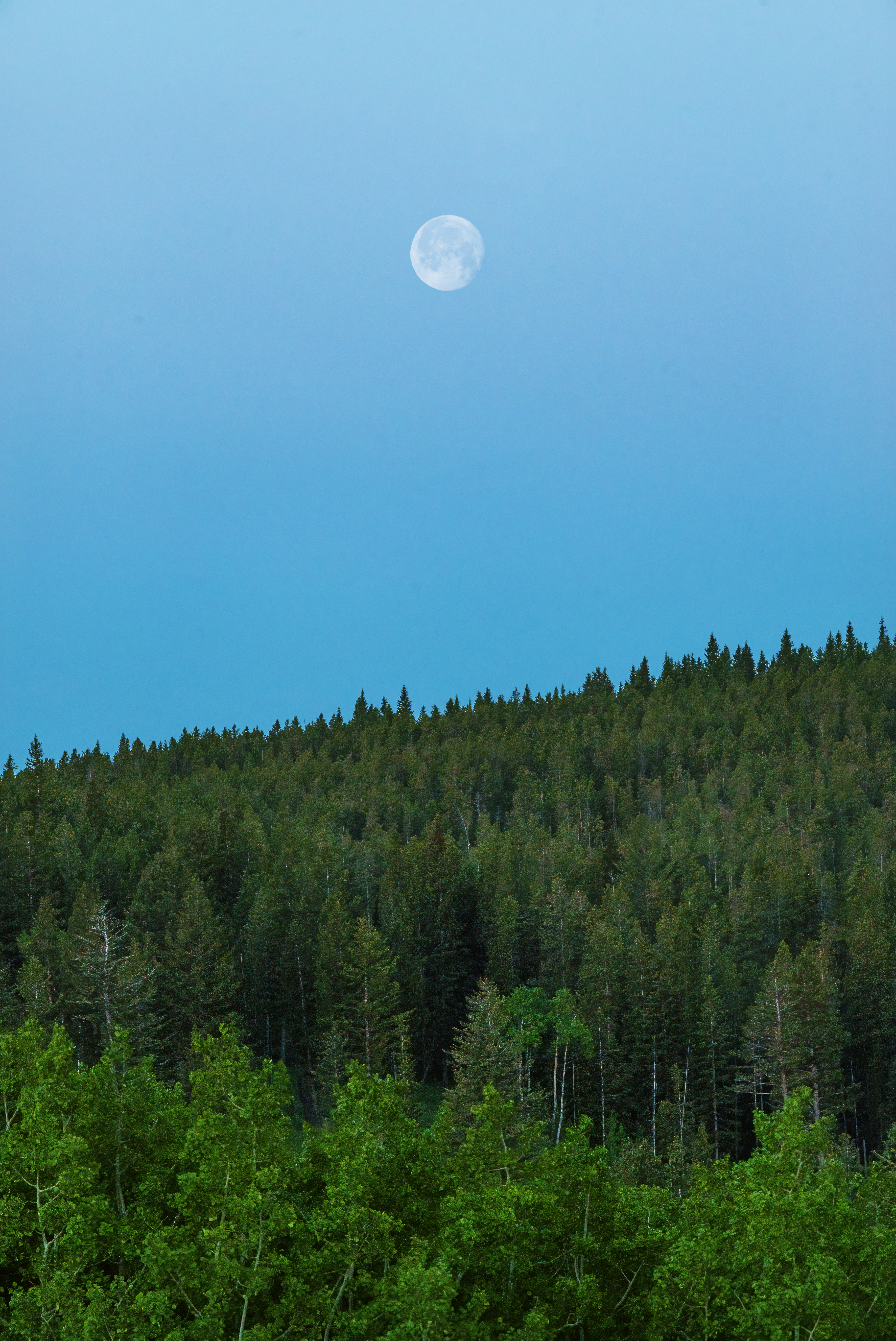 Summer moon