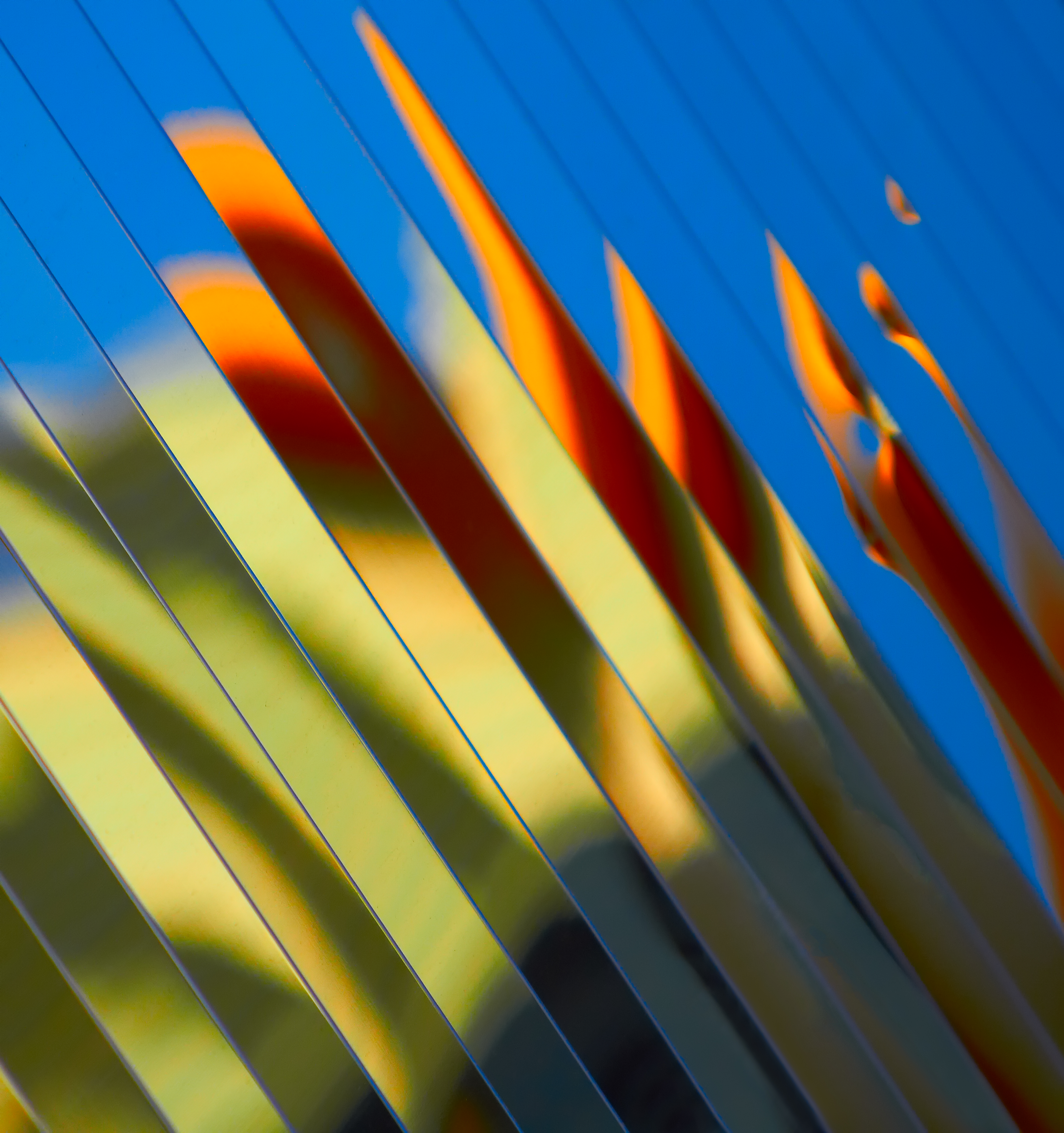 Slices of Color