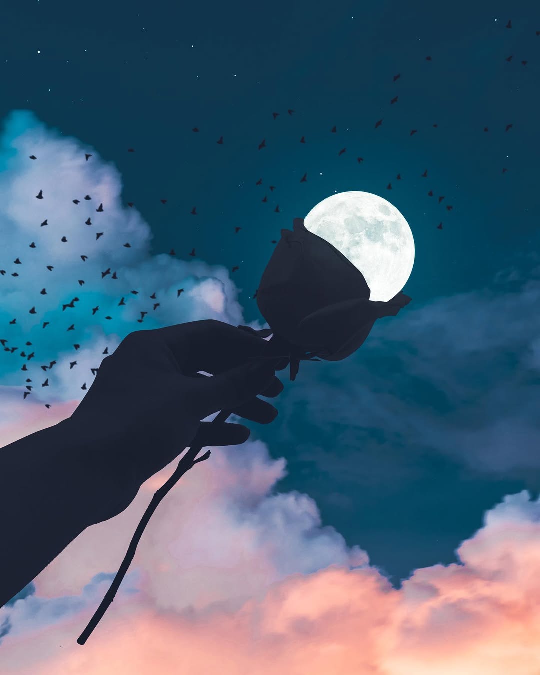 The night