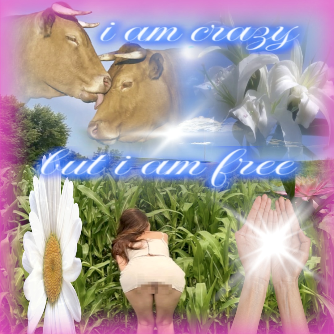 i am crazy but i am FREE