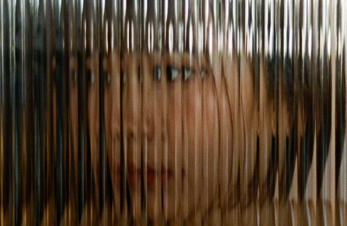 Window Shopper