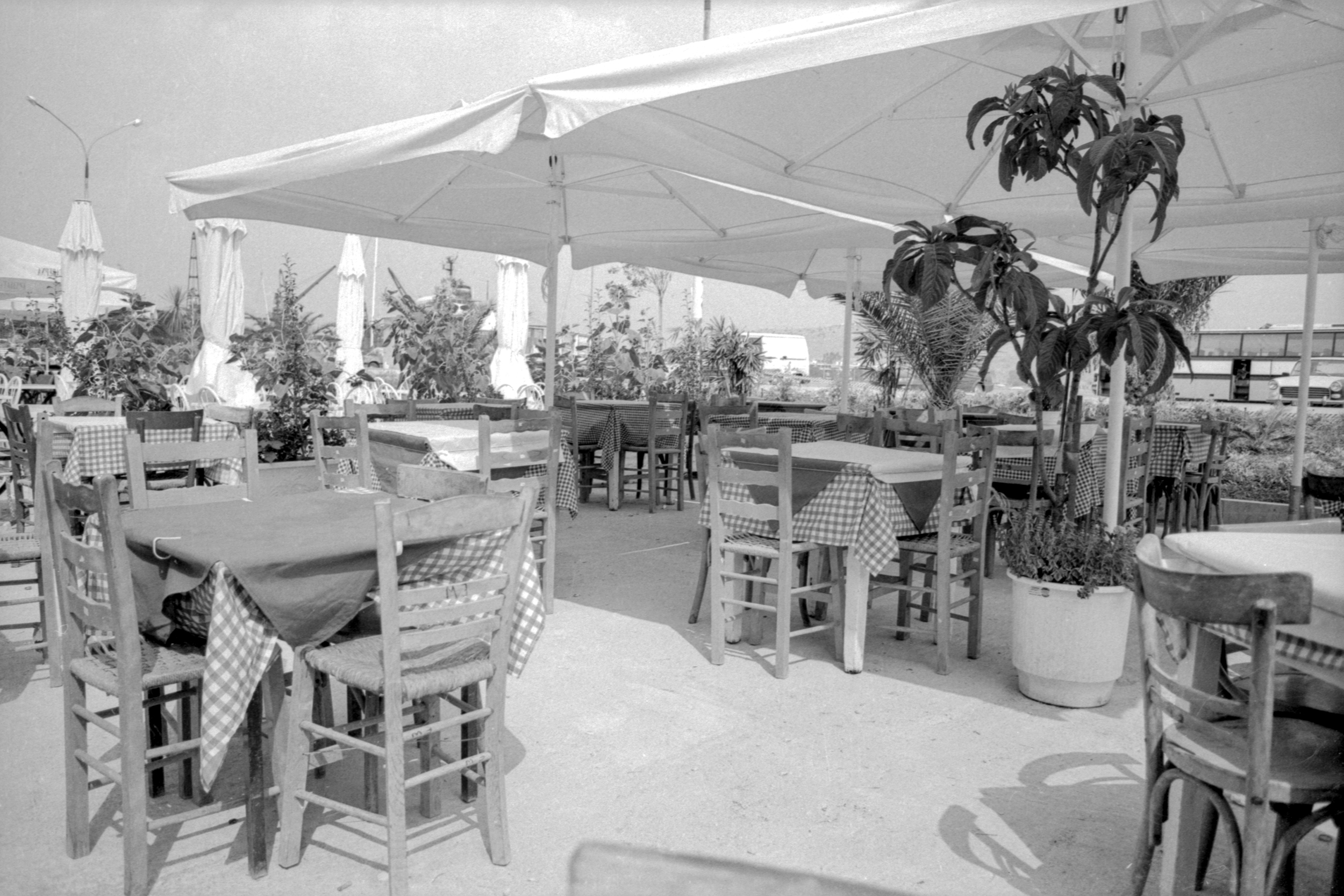 Restaurant (The Greece Files #5)