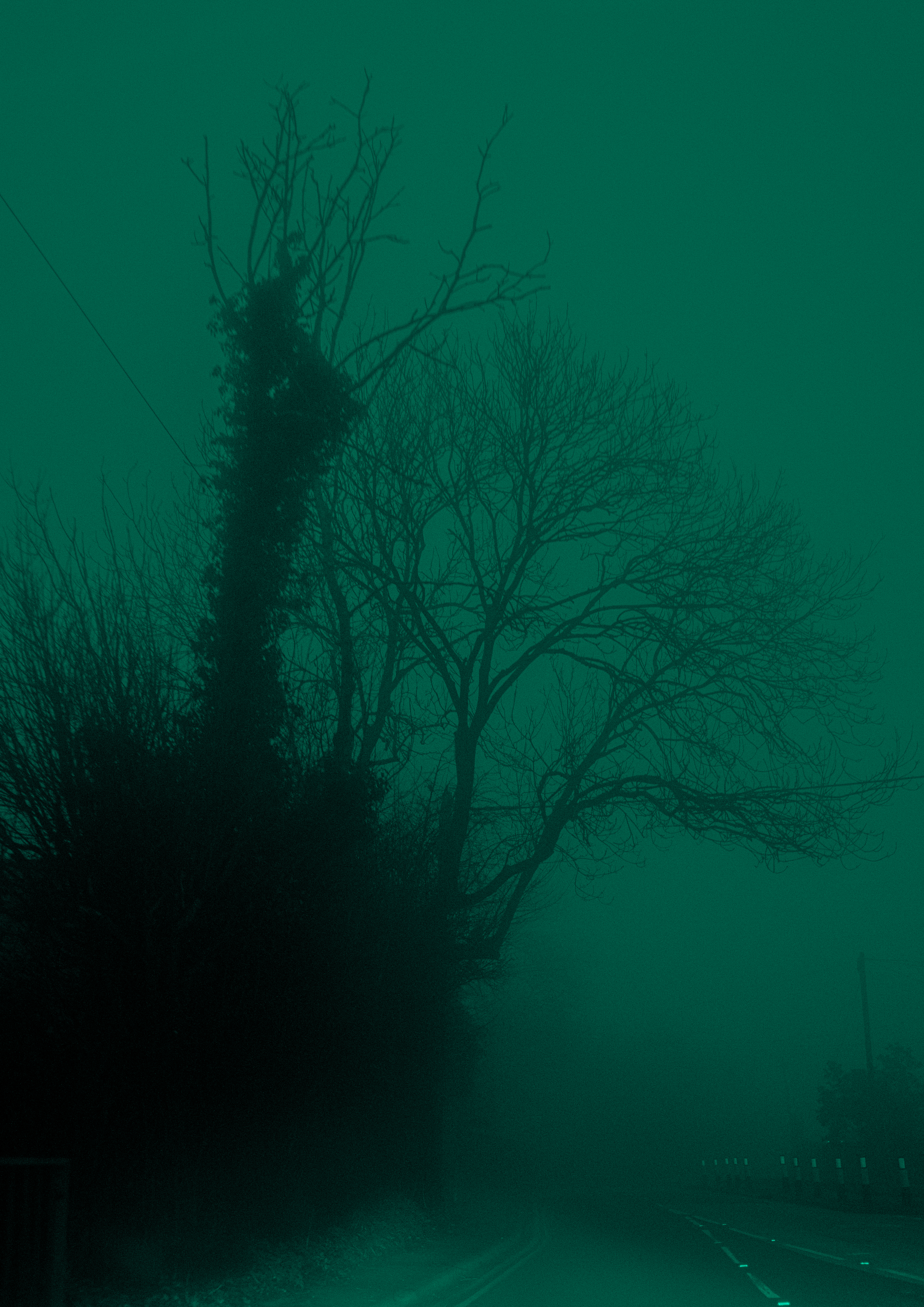 Late night drives in the fog
