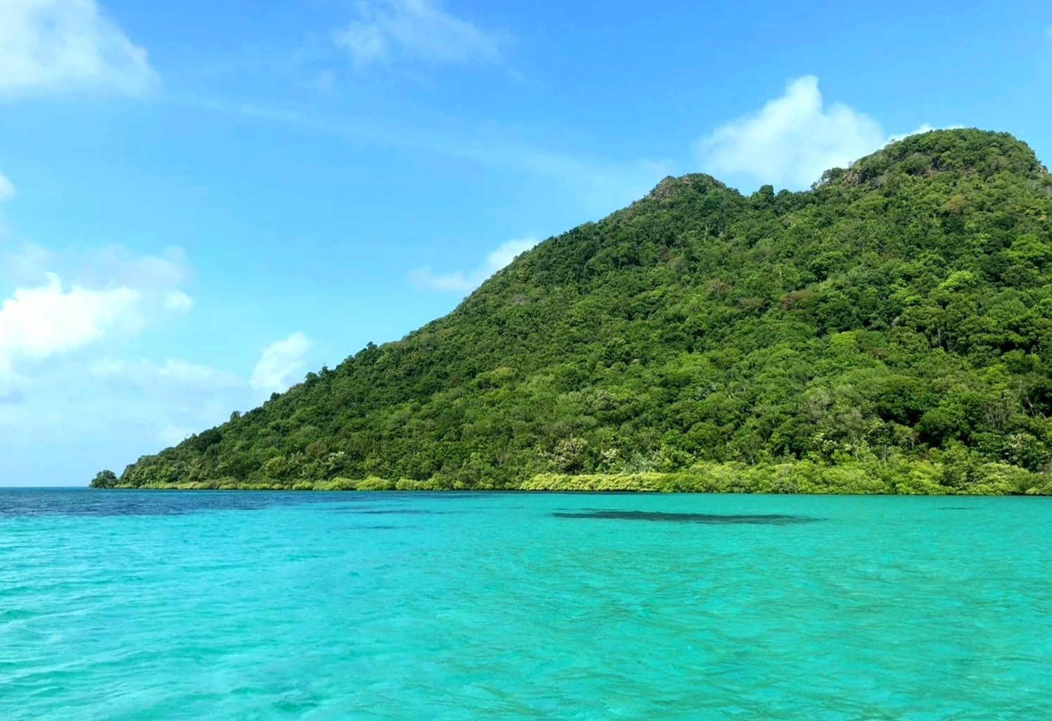 Where Blues Meet Greens