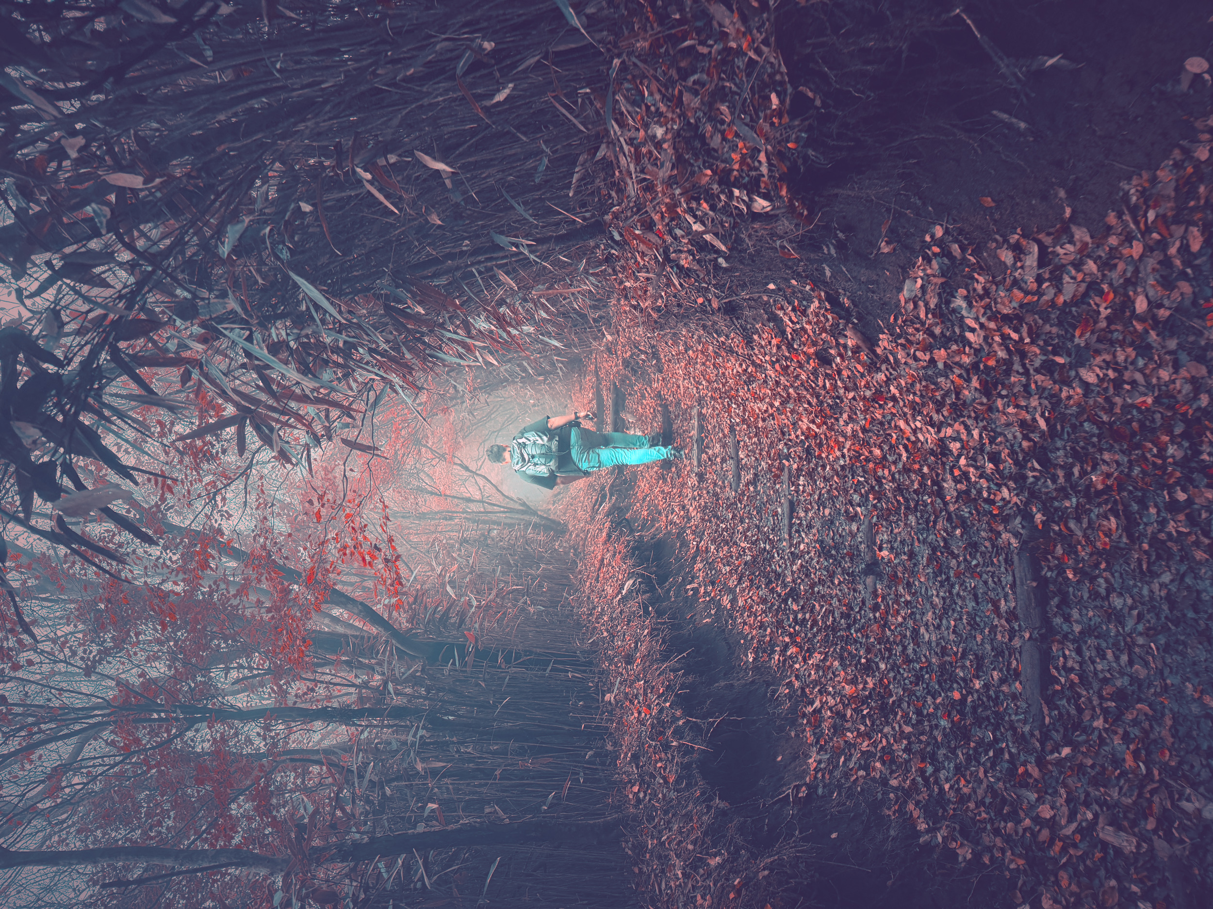 The Mystery Trail