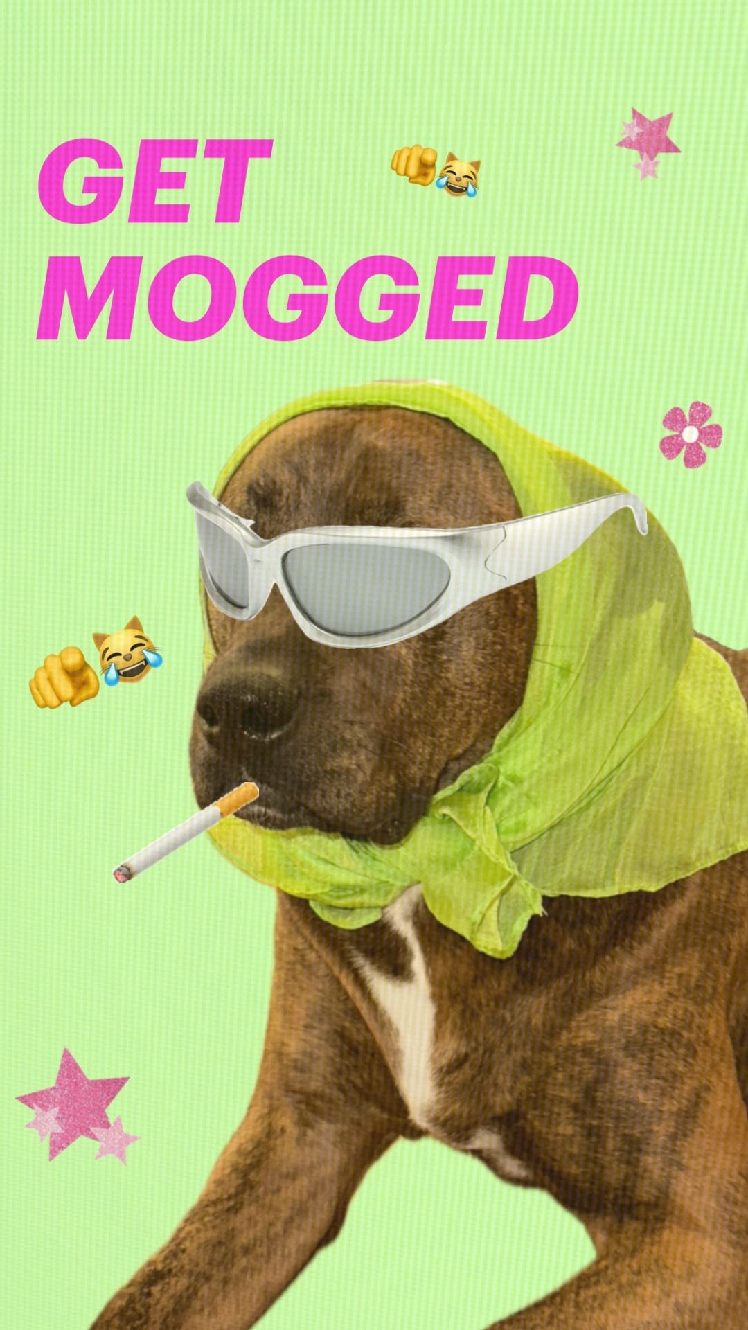 GET MOGGED