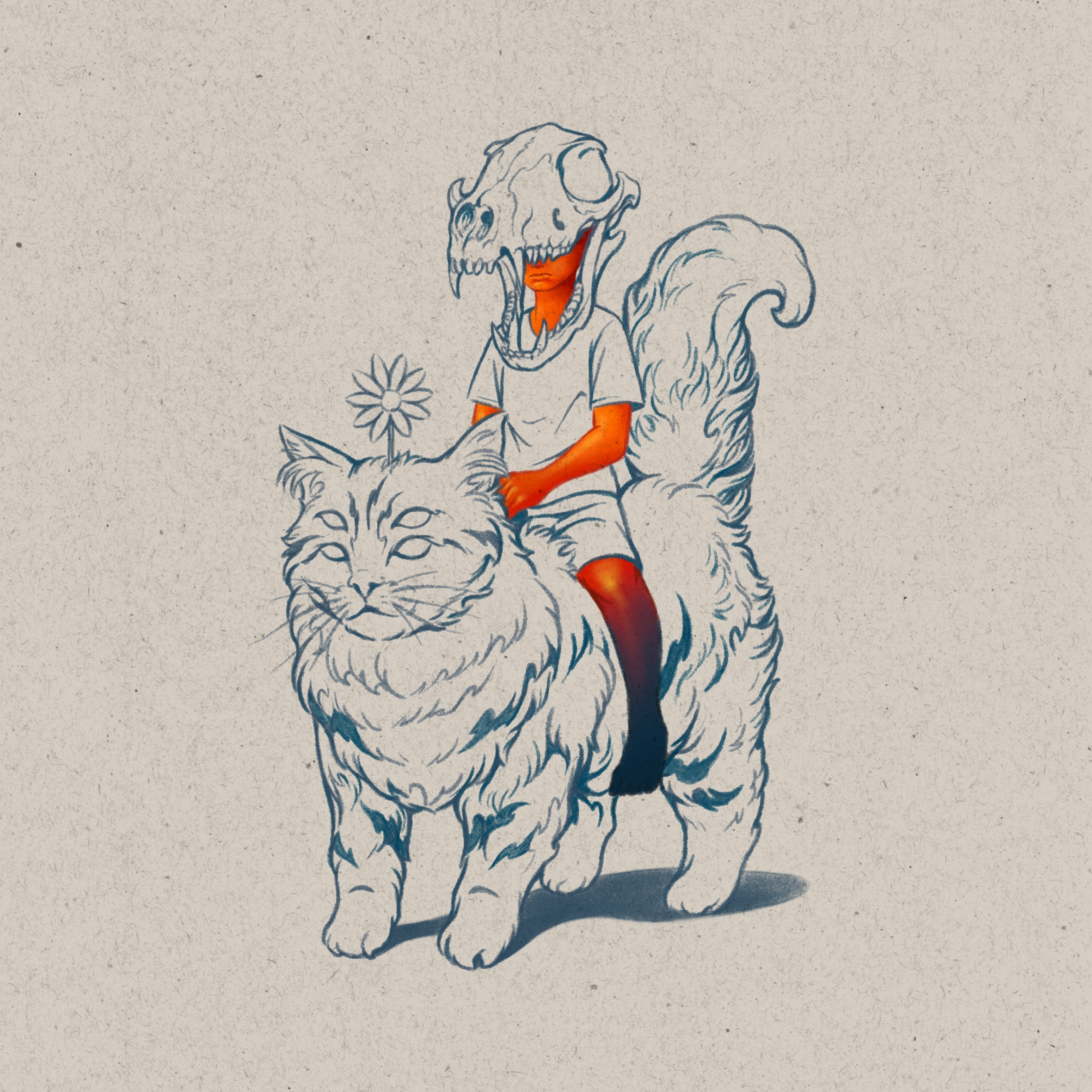 Lost Cat