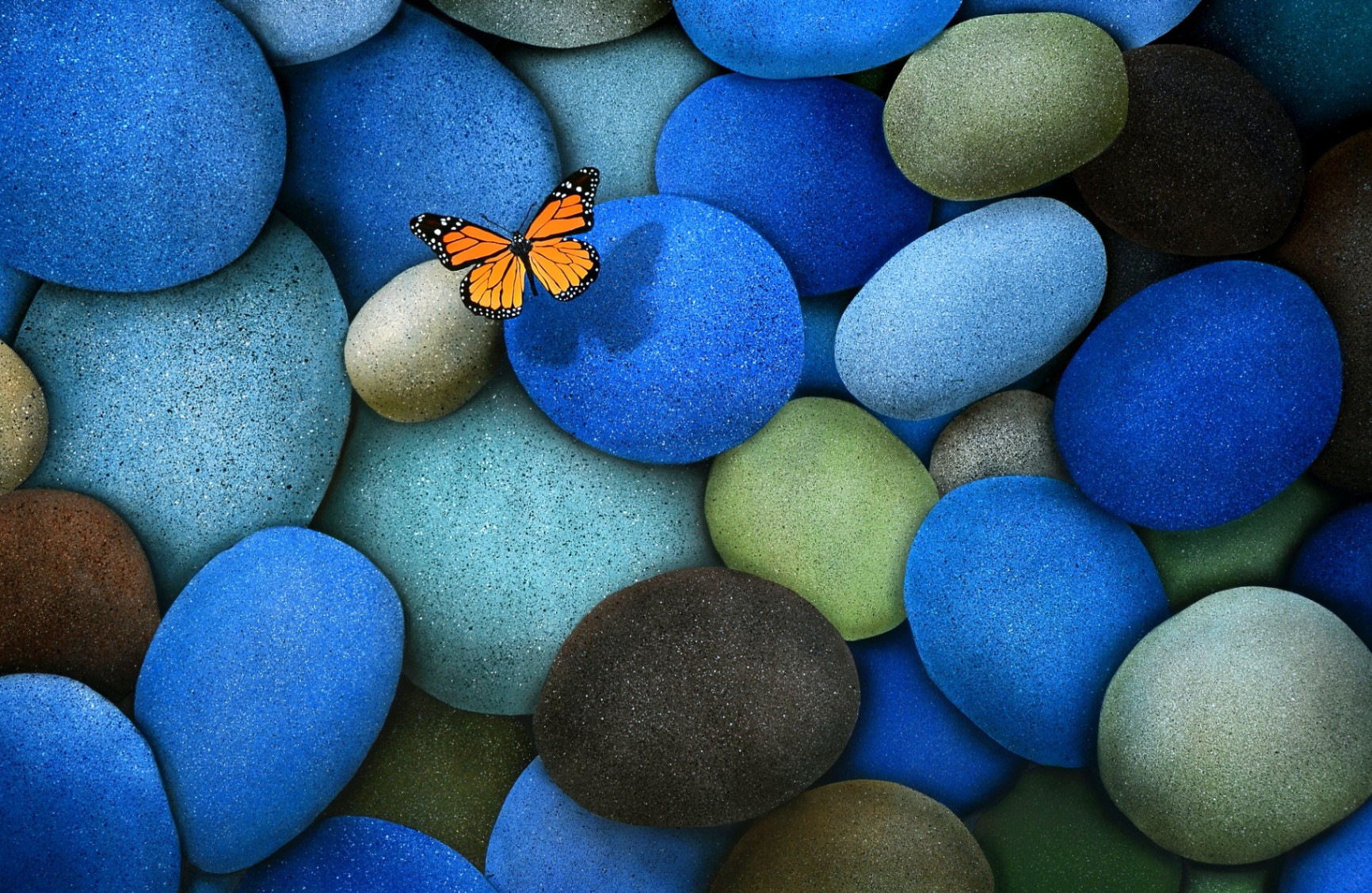 mıkolas