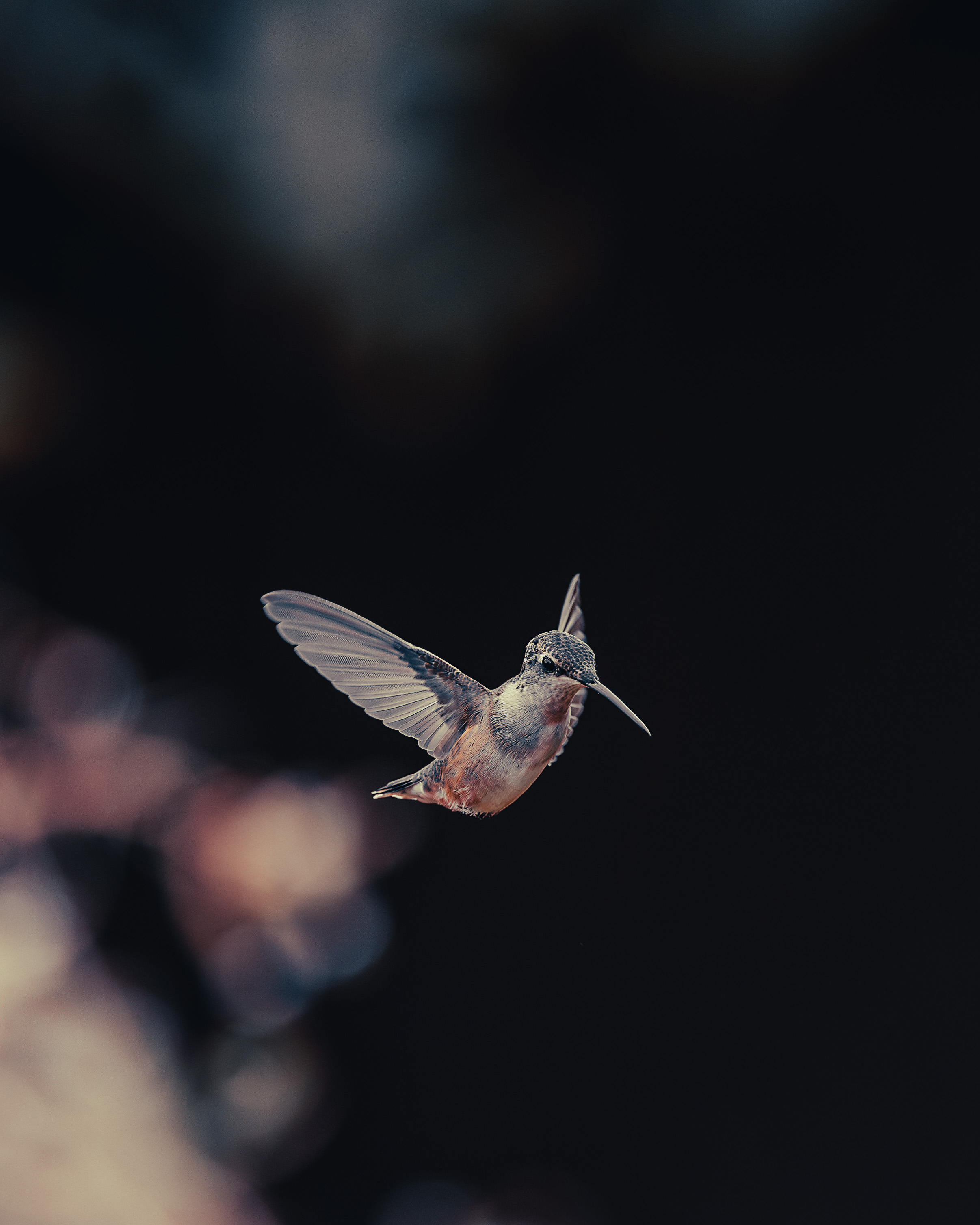 Suspended Grace