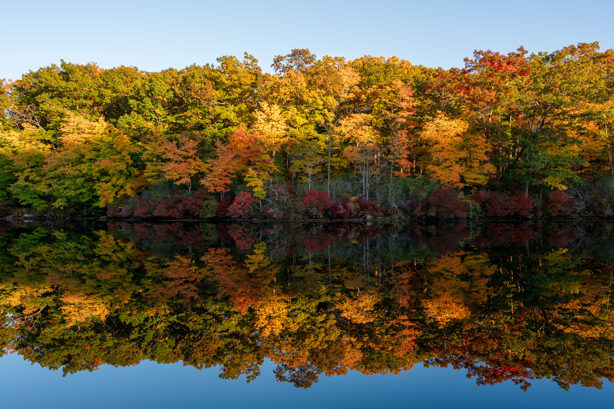 Color, light and calm water.