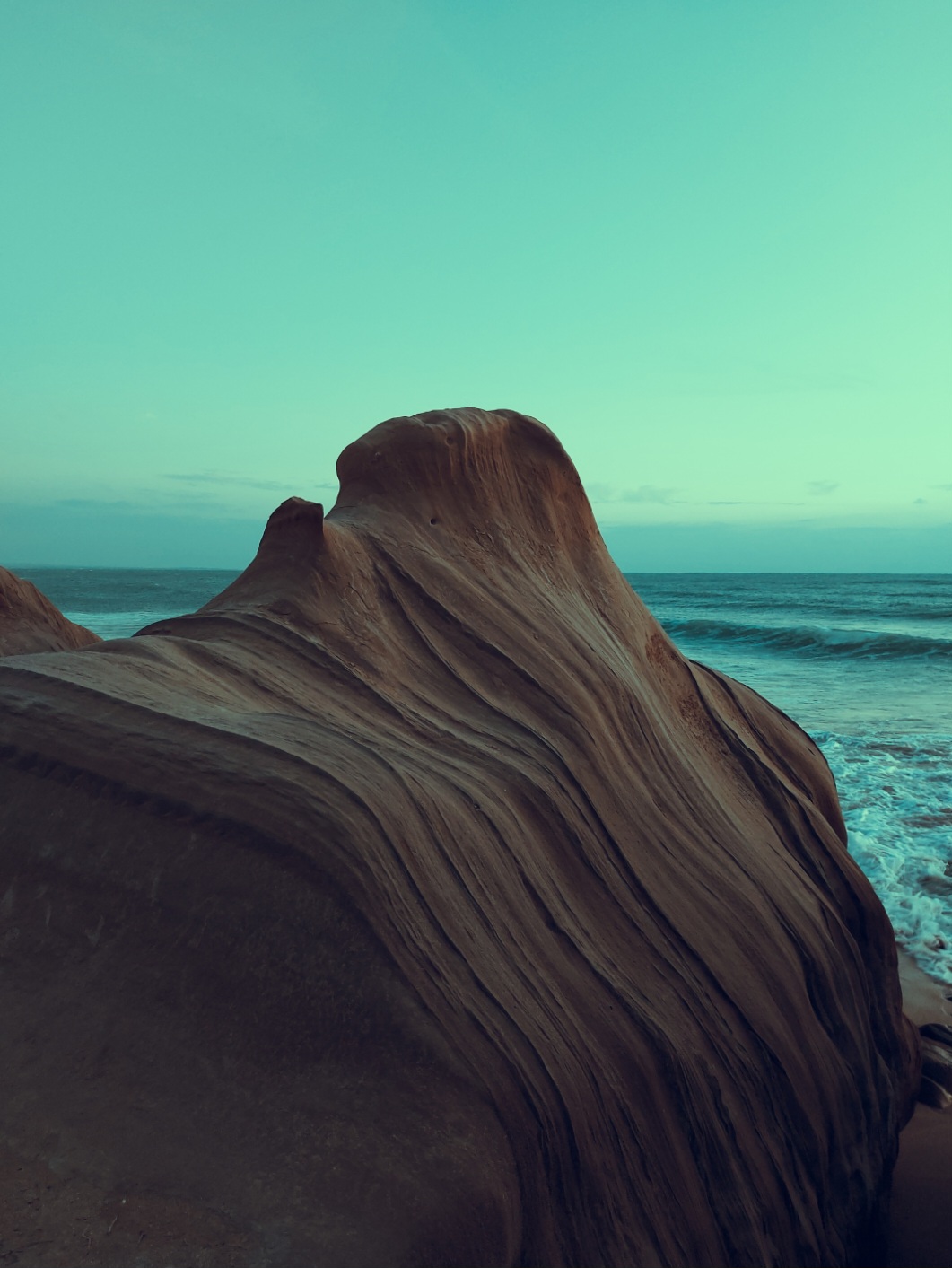 Wind's melody on a coastal rock