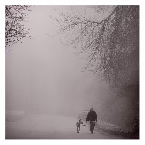 Wanderers in the Grey