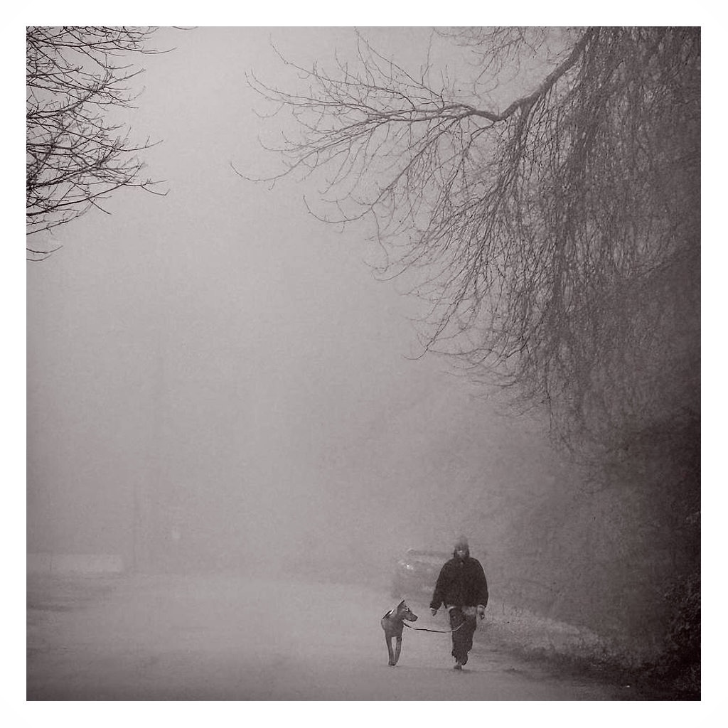 Wanderers in the Grey
