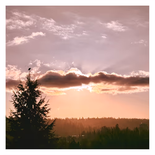Sunset’s Watcher