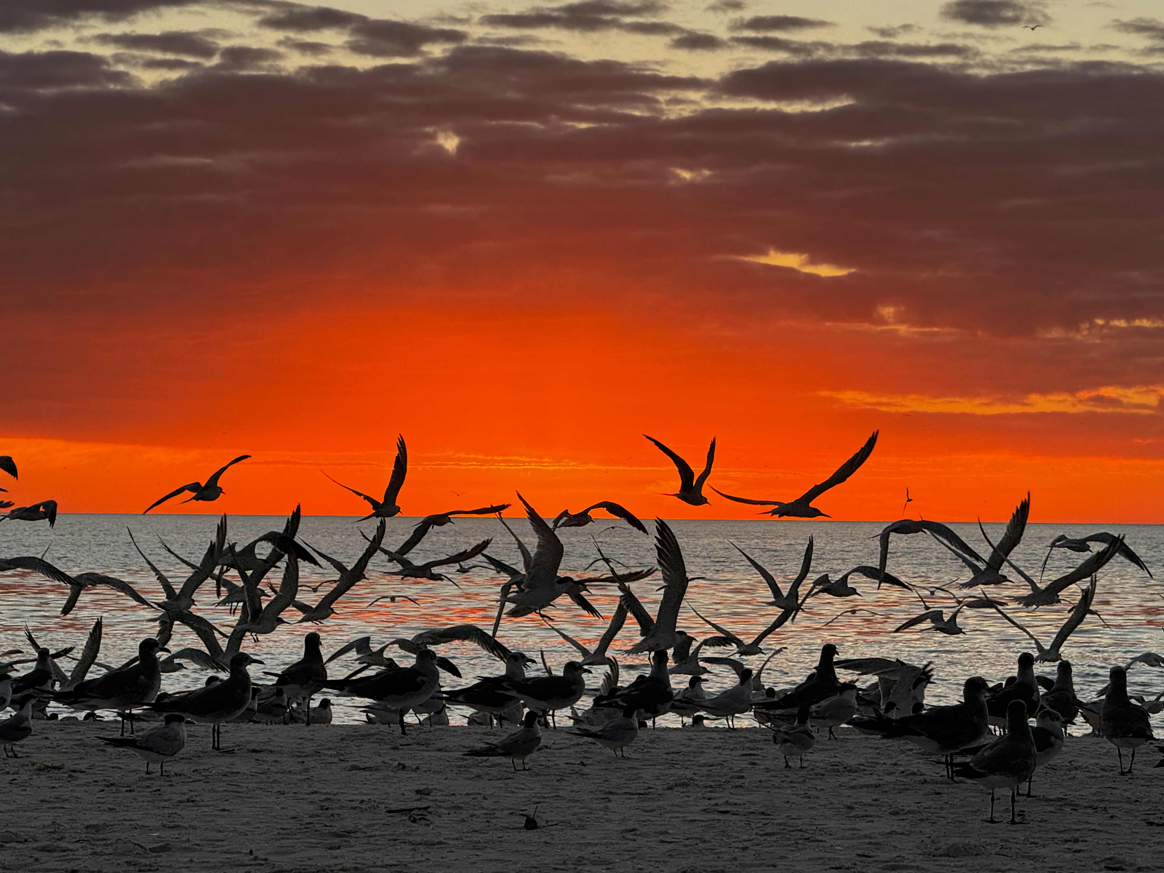 Marco Island