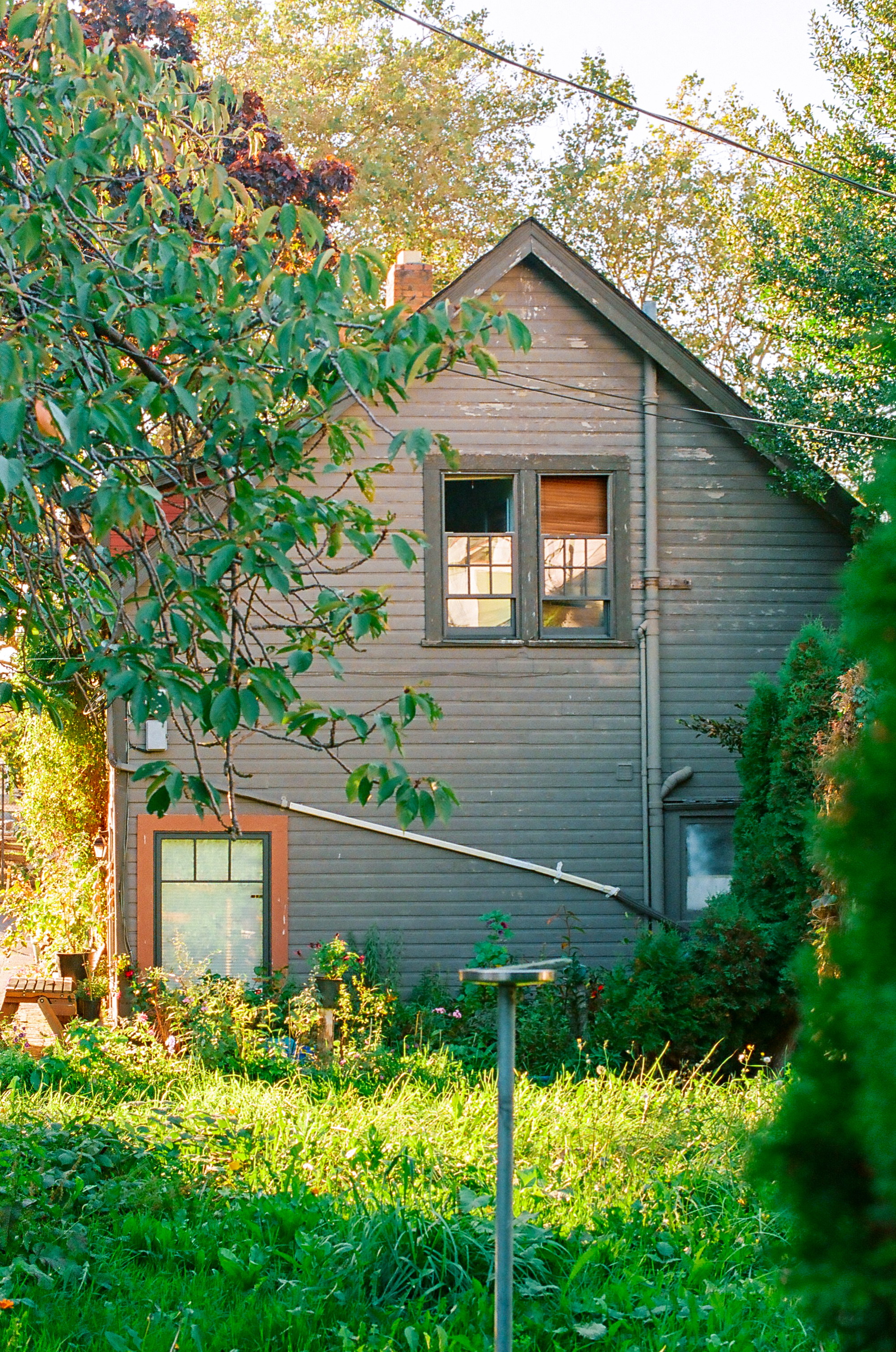 Greenhouse