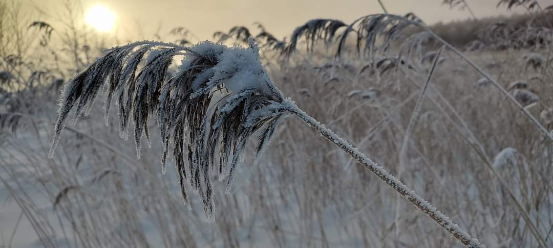 Frozen in time #171