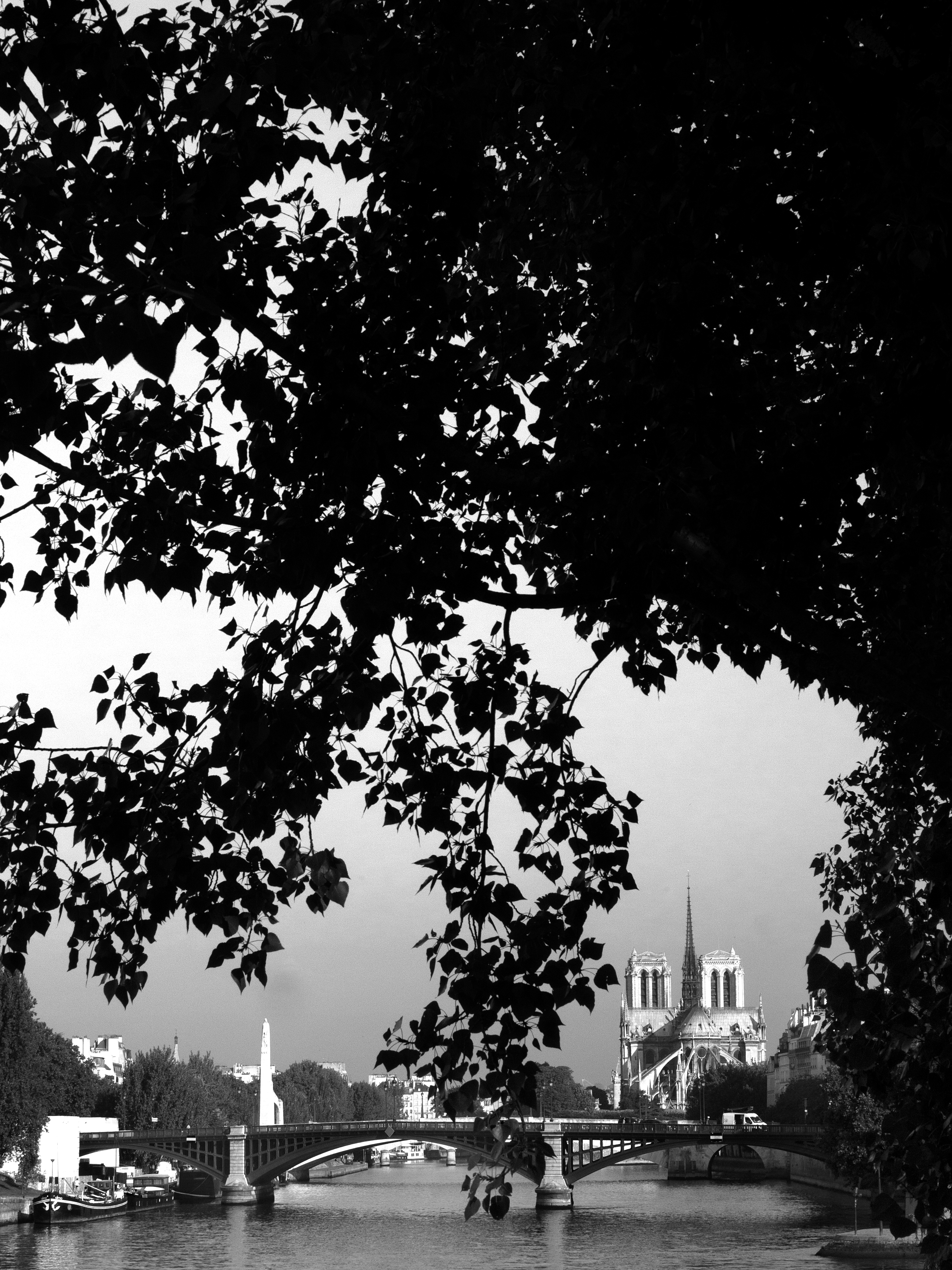 Notre Dame Paris