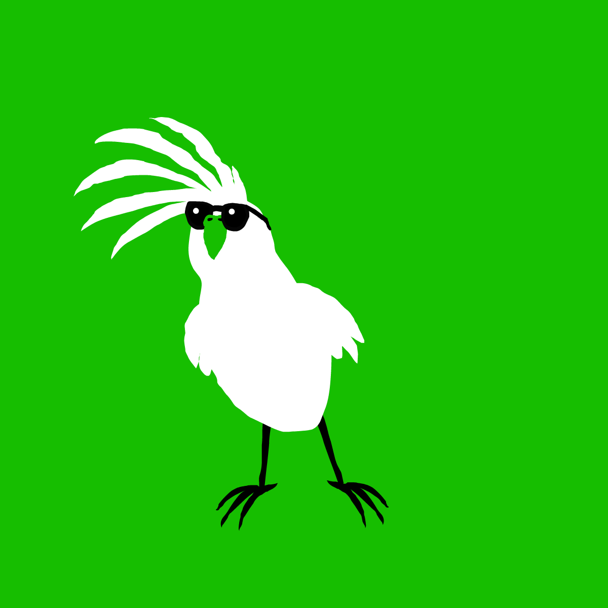 MoHawkatoo